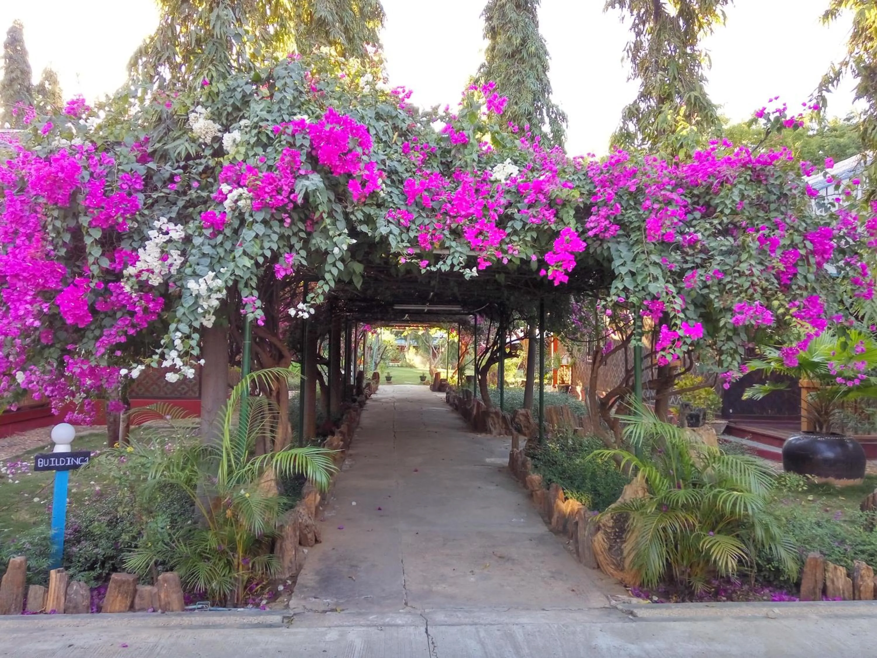 Garden in Ruby True Hotel