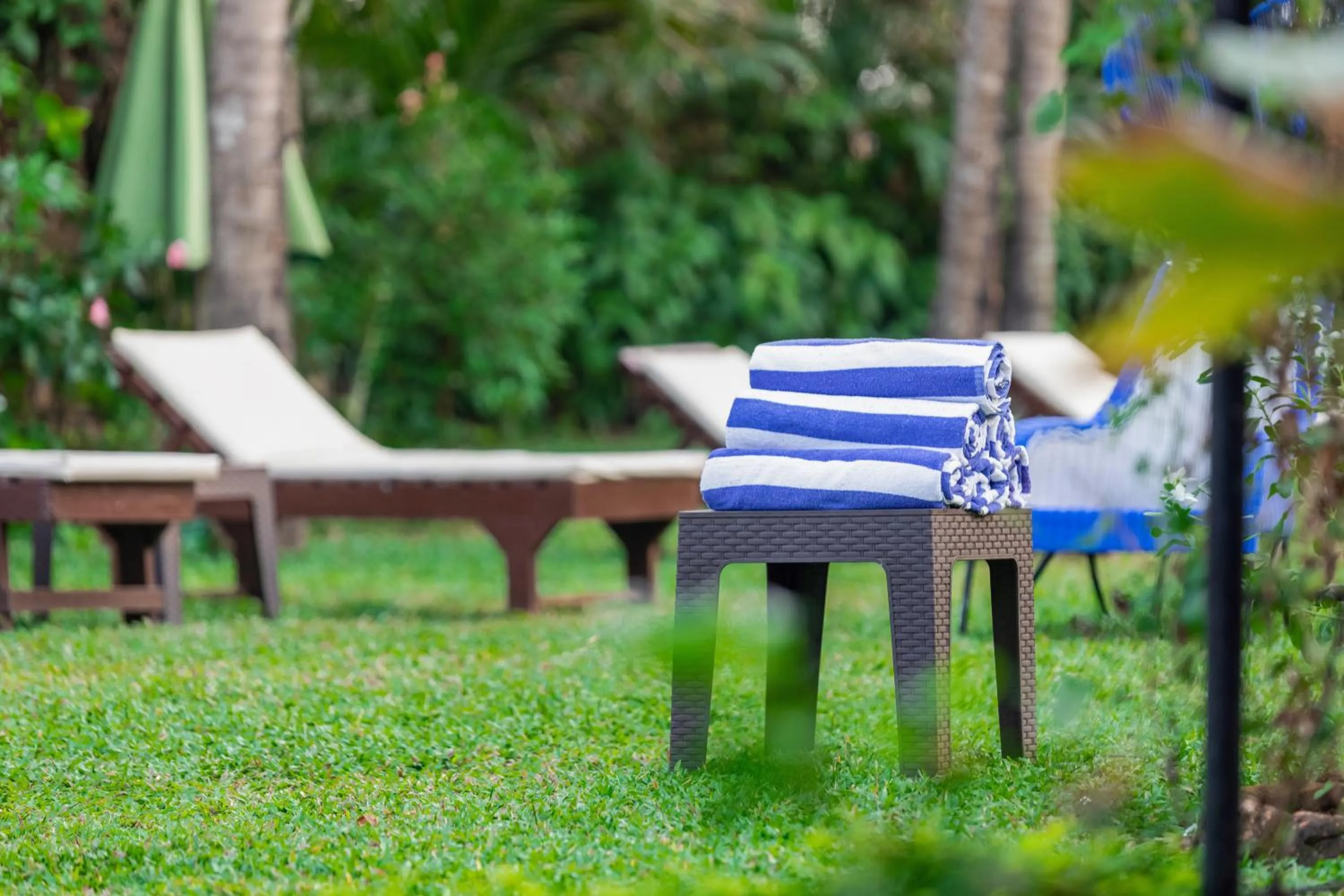 Garden view in Santana Beach Resort