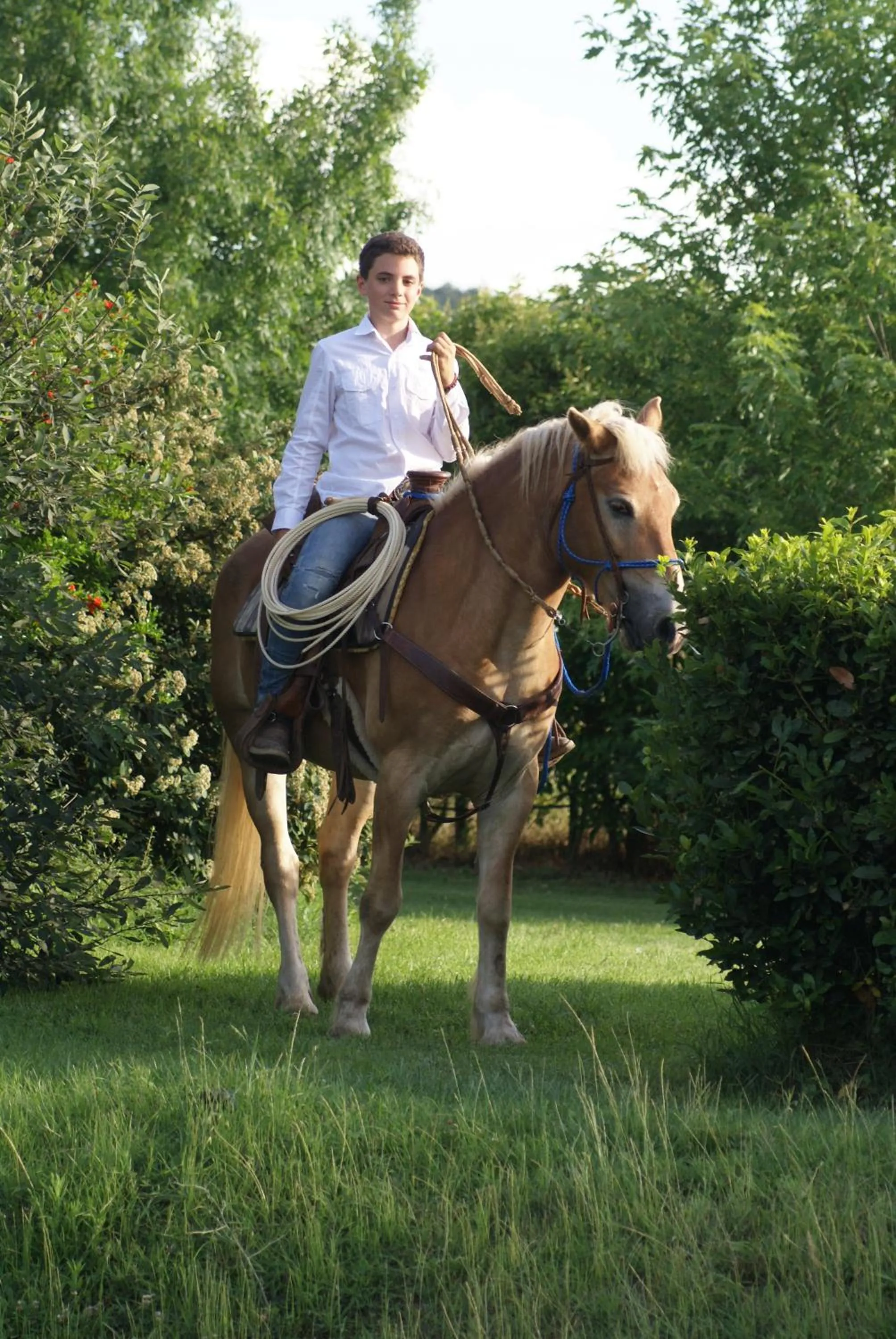Pets in La Casa Di Campagna