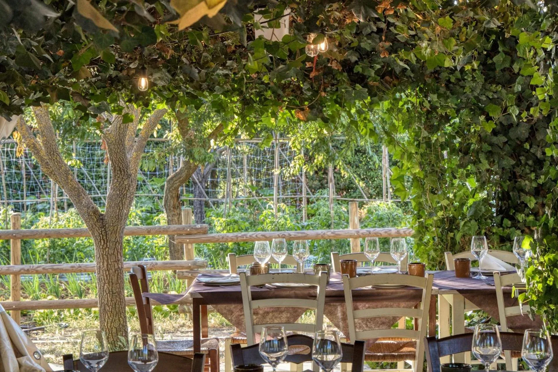 Restaurant/places to eat in La Casa Di Campagna