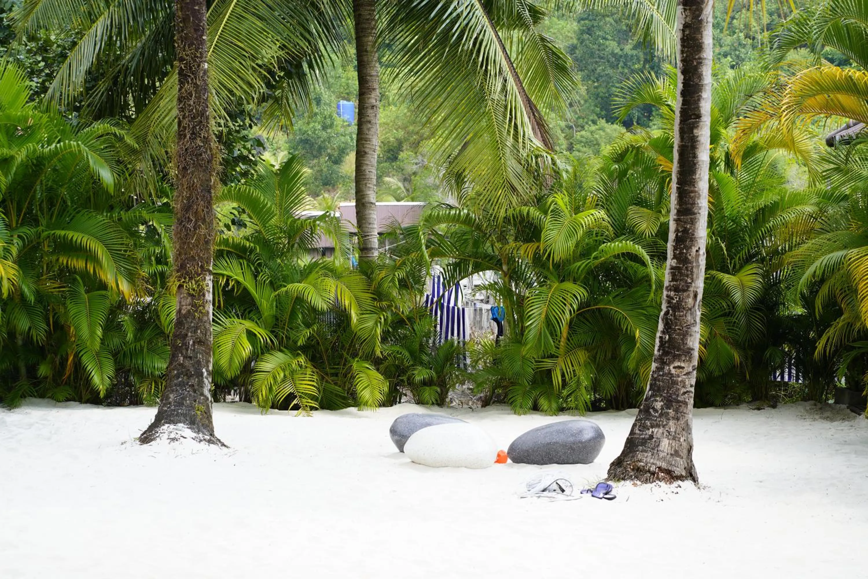 Property building in WHITE SAND ARK RESORT