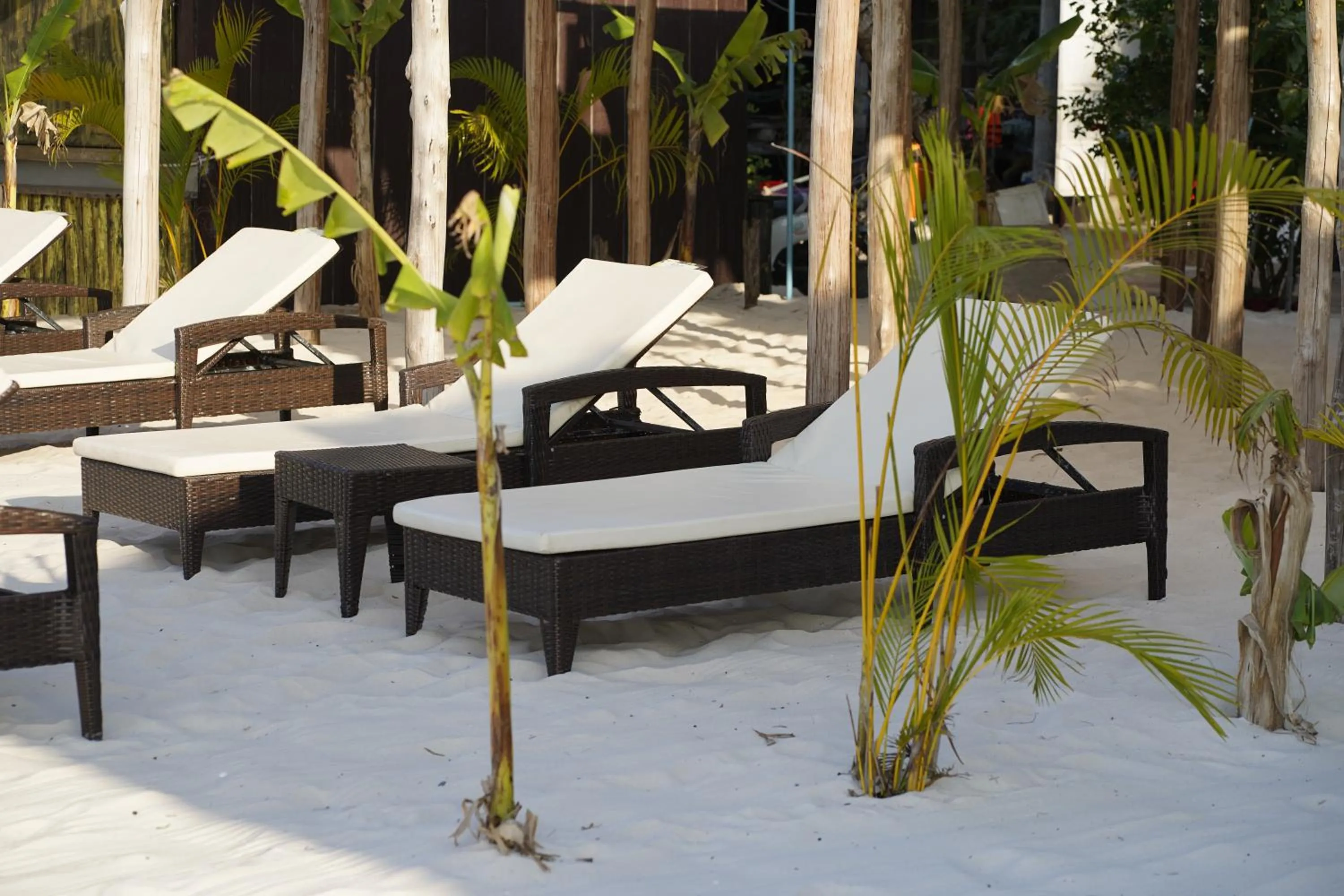 WHITE SAND ARK RESORT