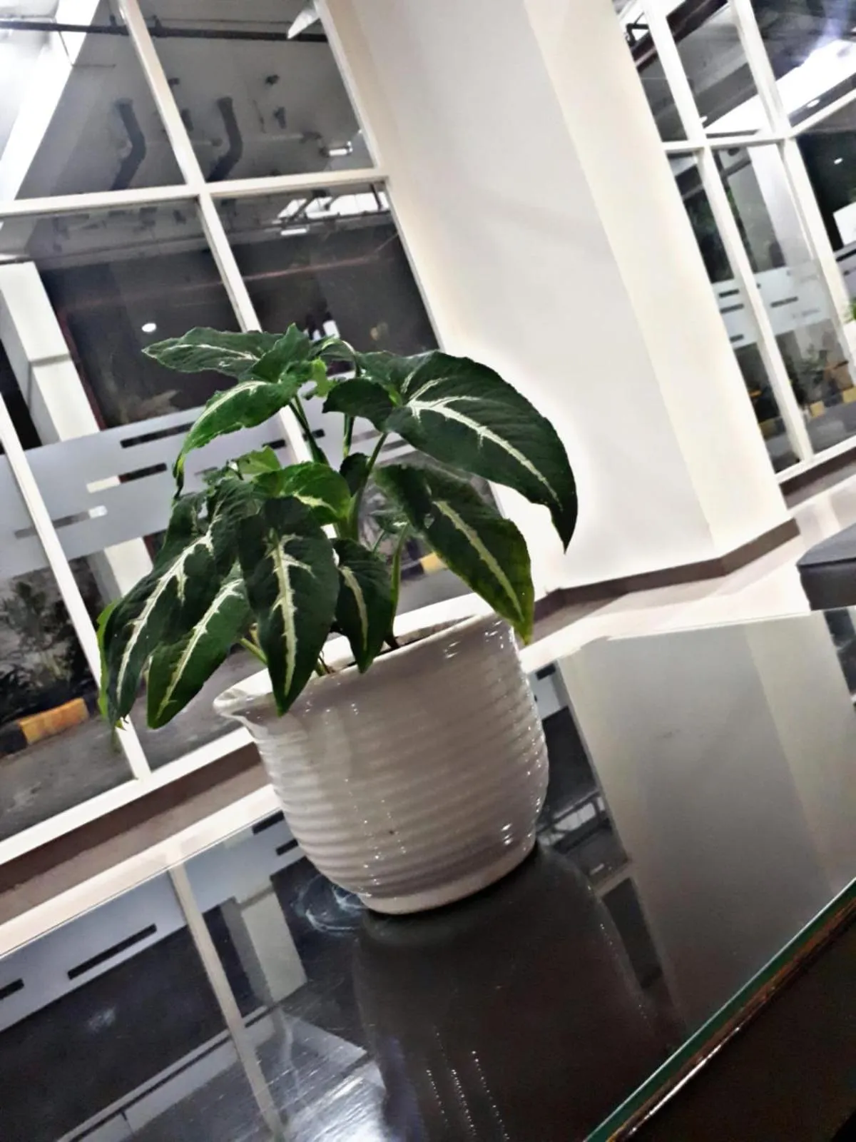 Lobby or reception in iRoom Margonda Residence 345