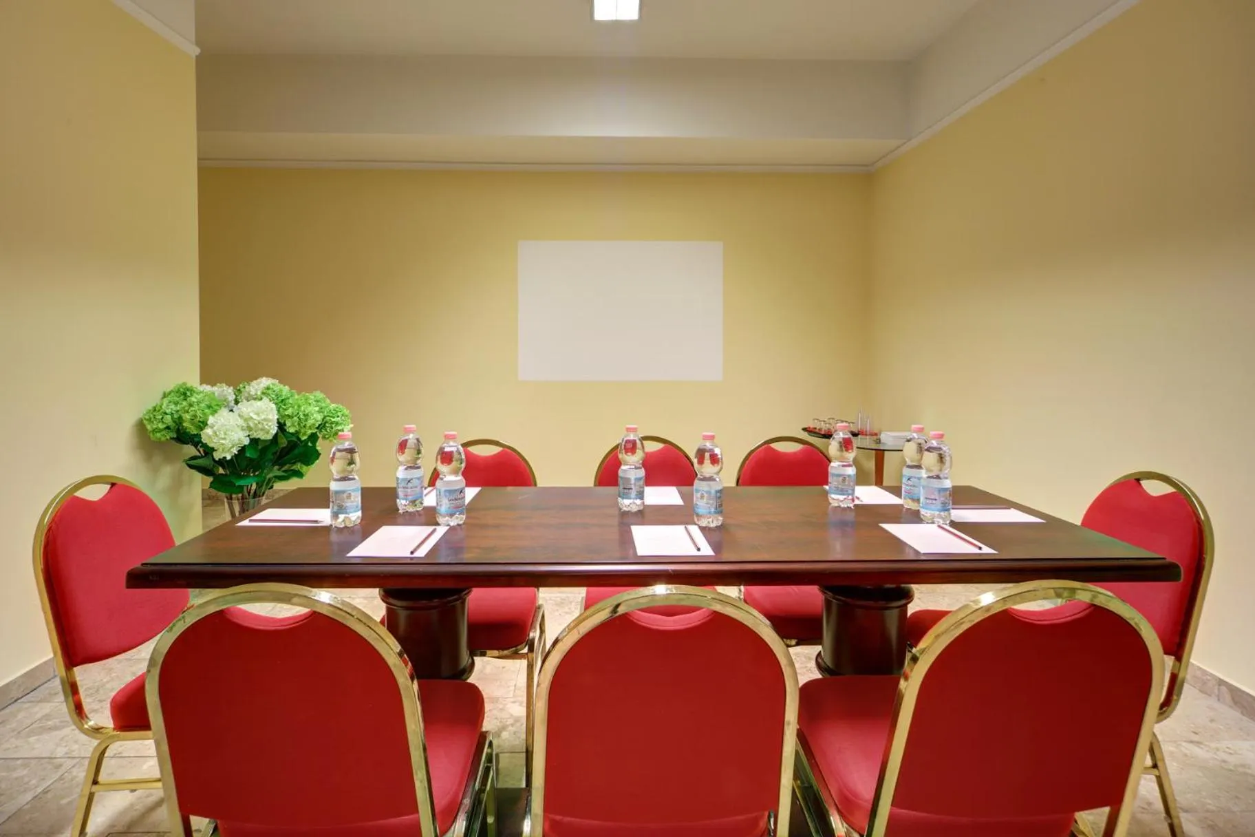 Business facilities in Hotel Mythos