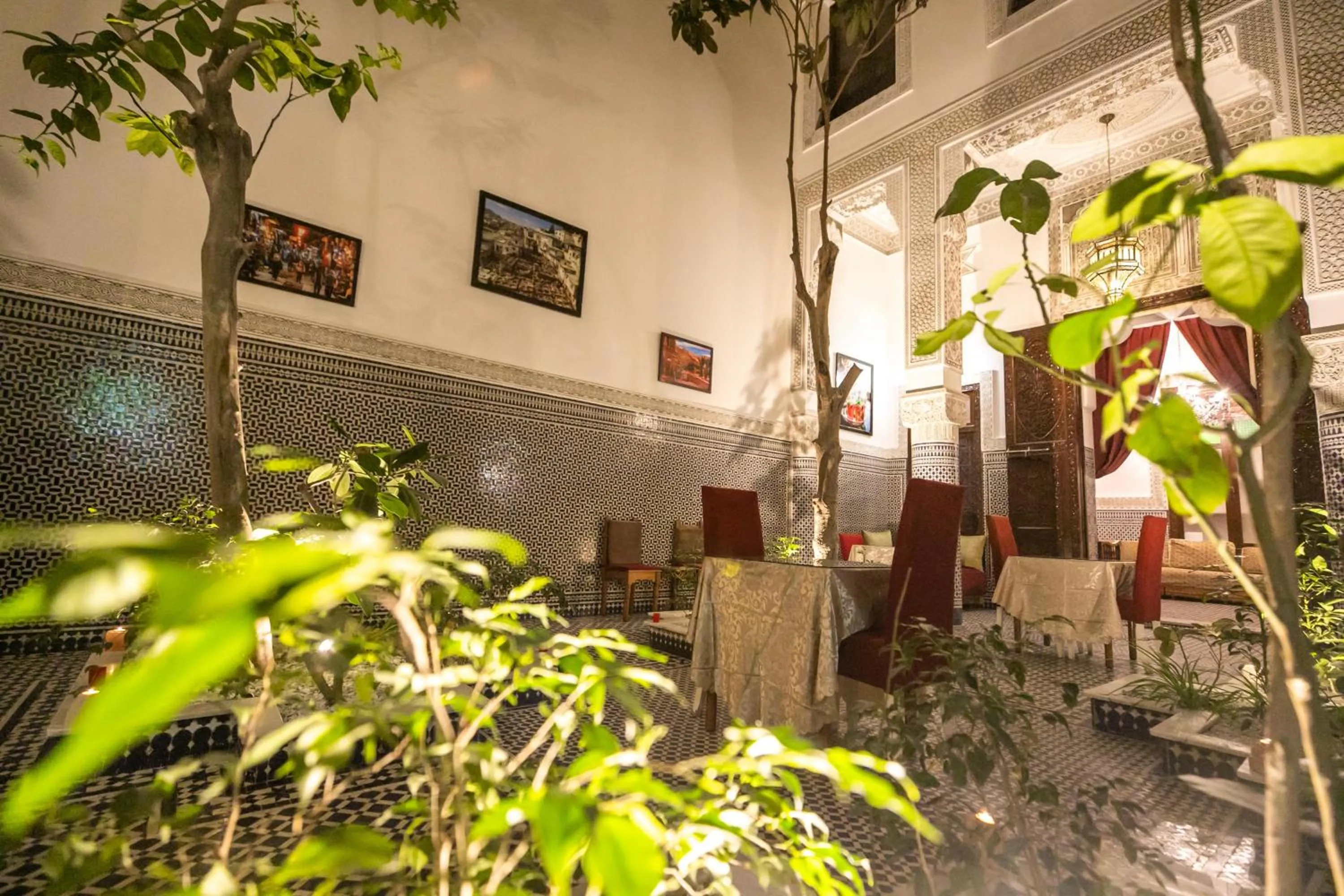 Garden in Riad Dari Fes