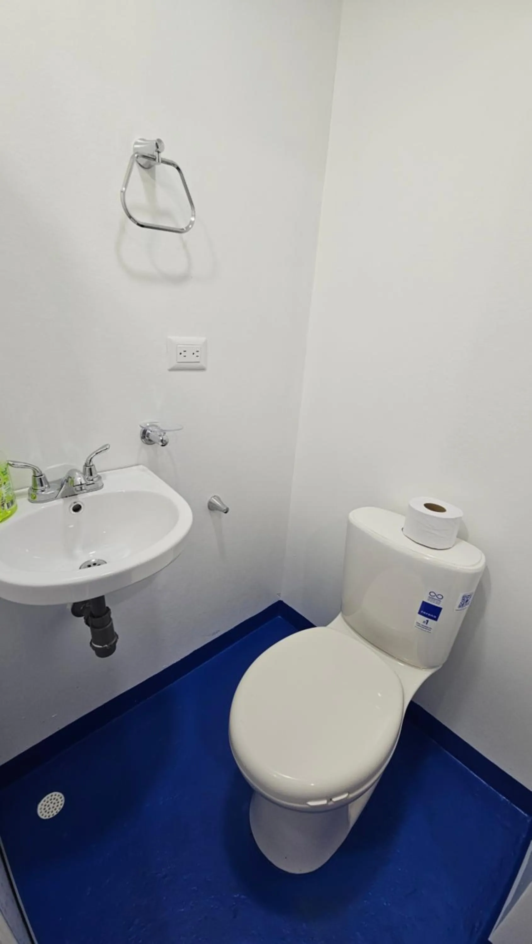 Toilet in Mom's house Colombia