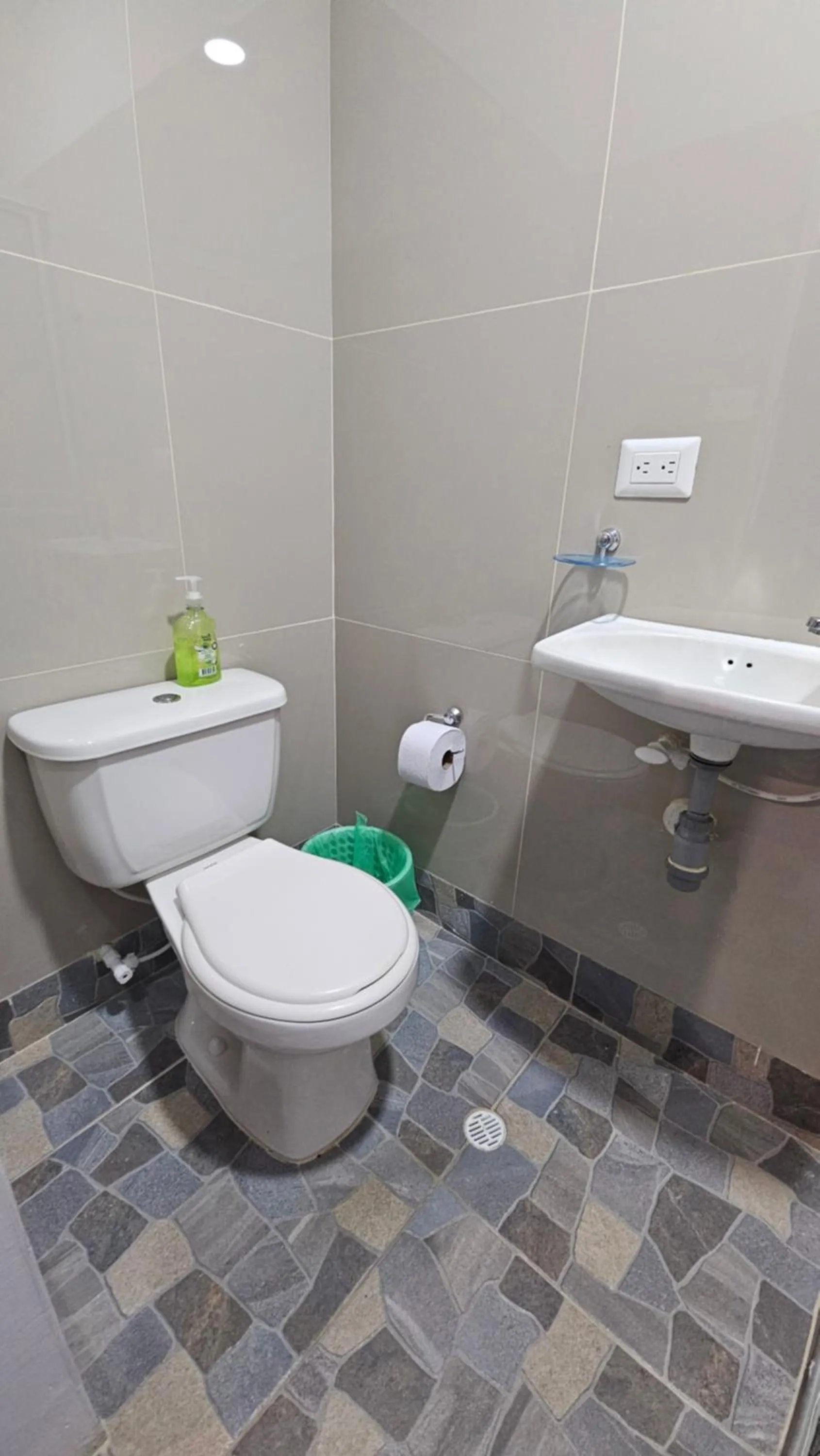 Toilet in Mom's house Colombia