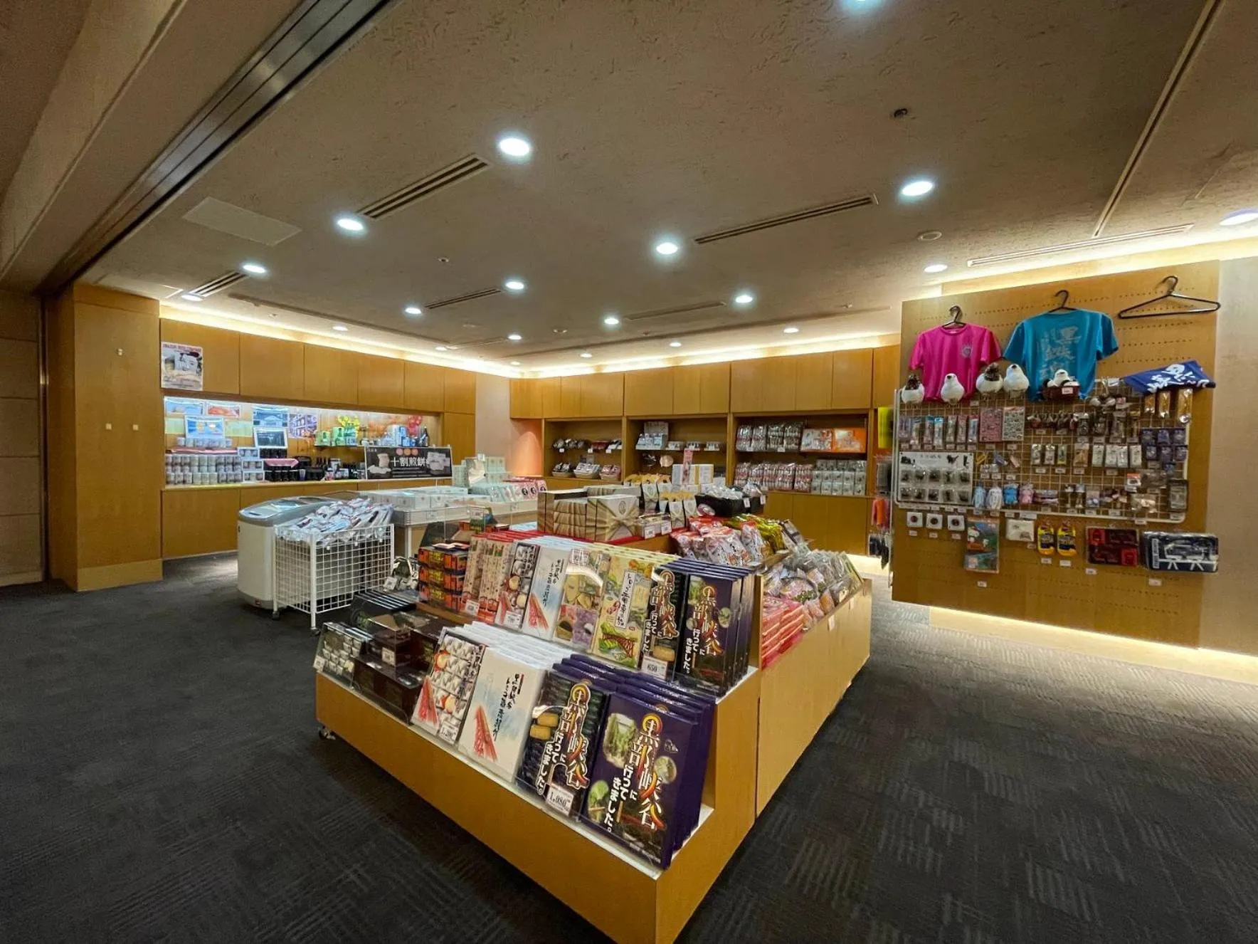 Area and facilities in Grandvrio Hotel Unazukionsen