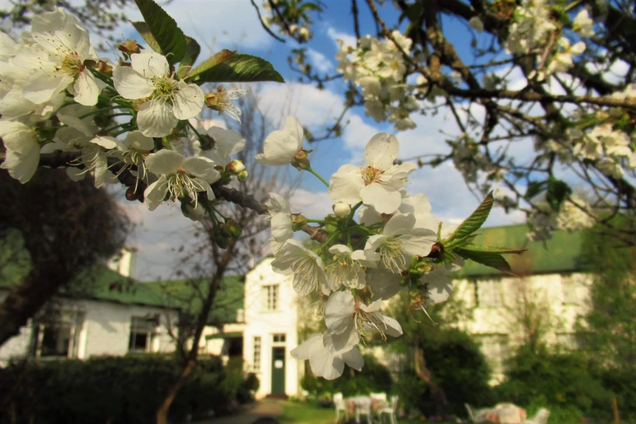 Property building in Green Lantern Inn