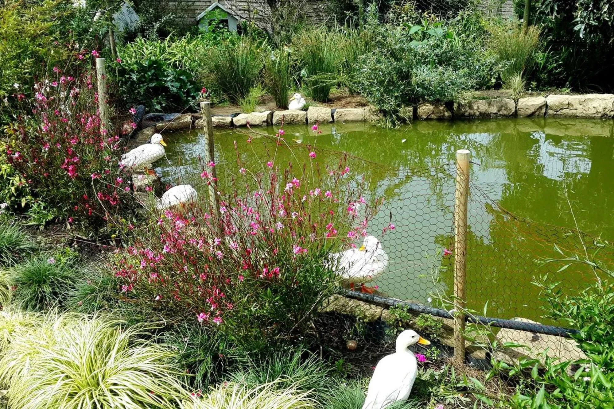 Garden in Green Lantern Inn