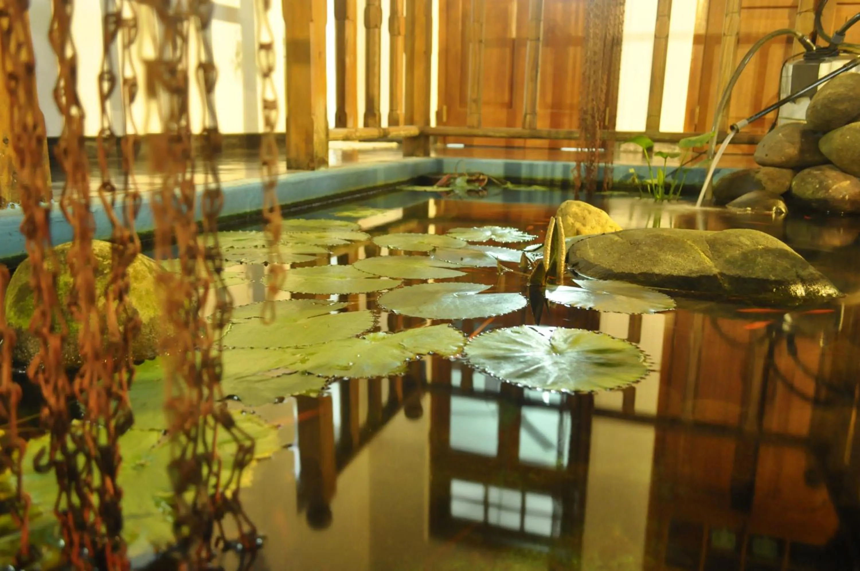 Property building in Villa 80