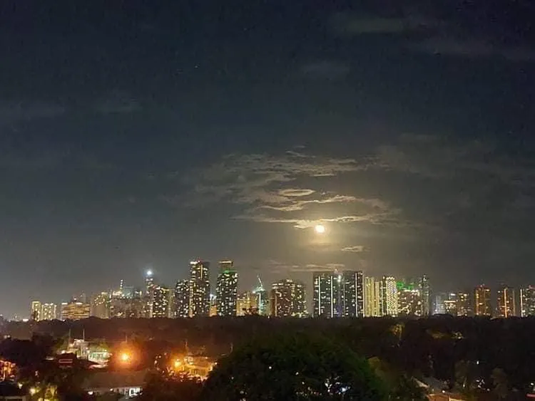 San Lorenzo place condo