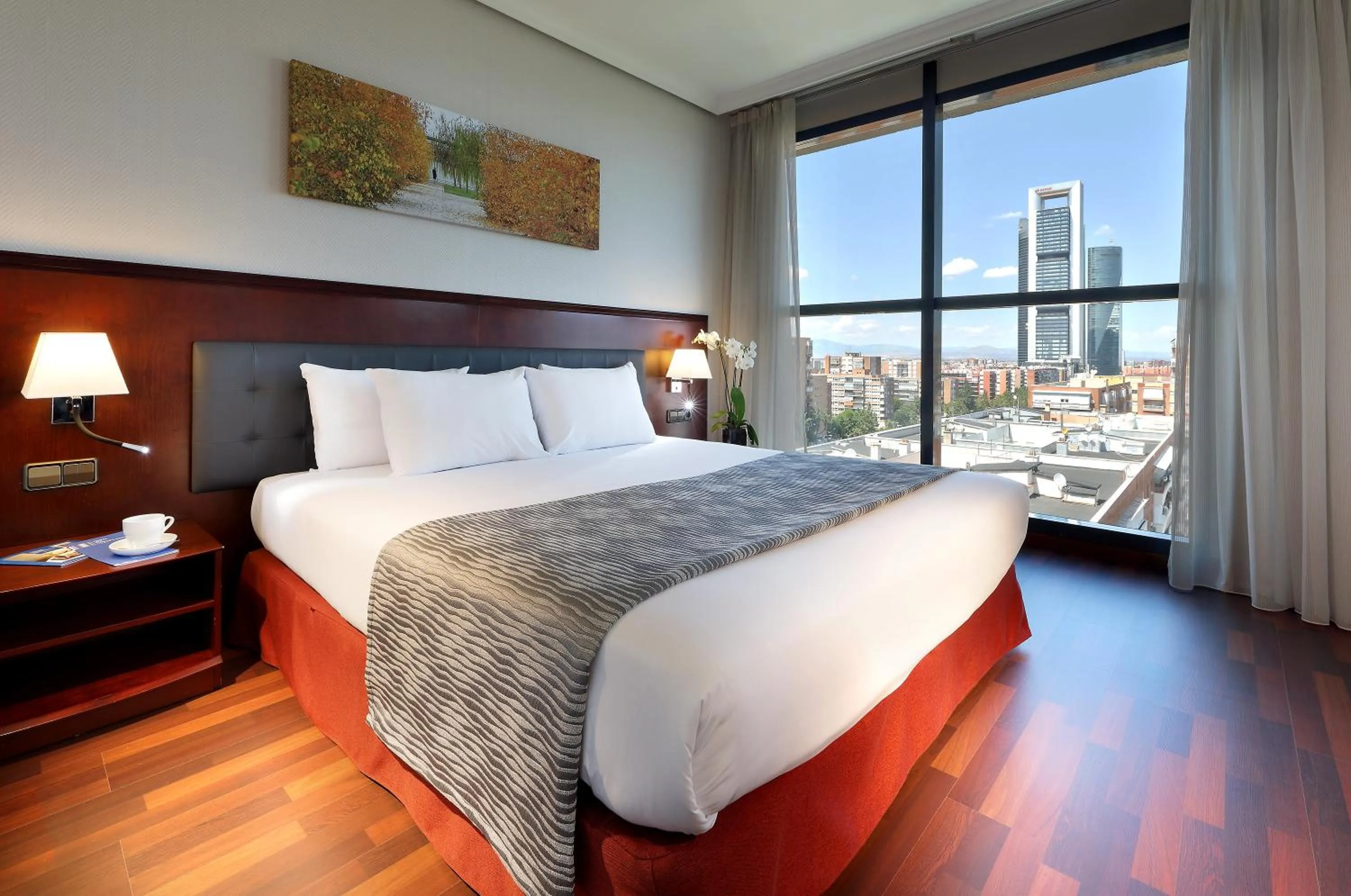 View (from property/room) in Crisol Vía Castellana