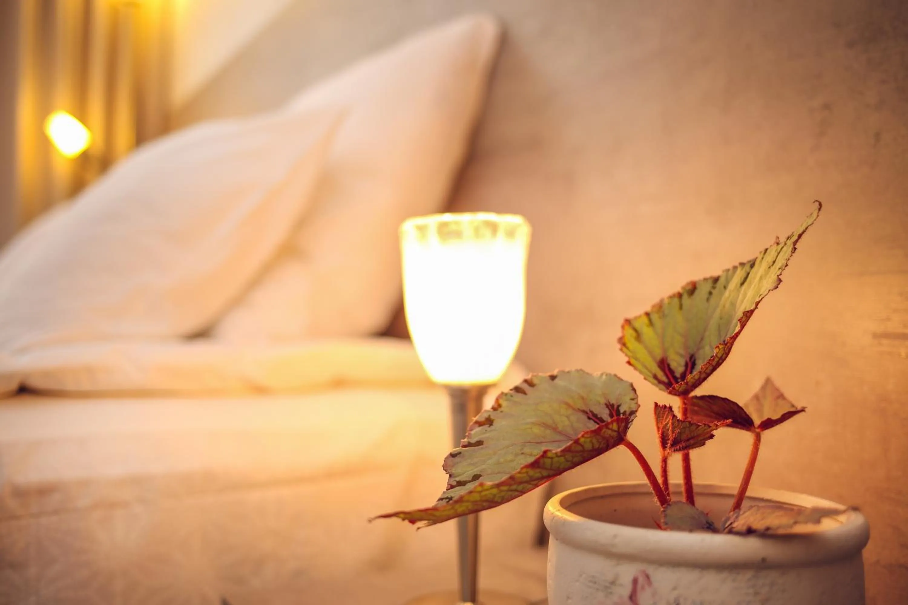 Decorative detail in Hotel Kera