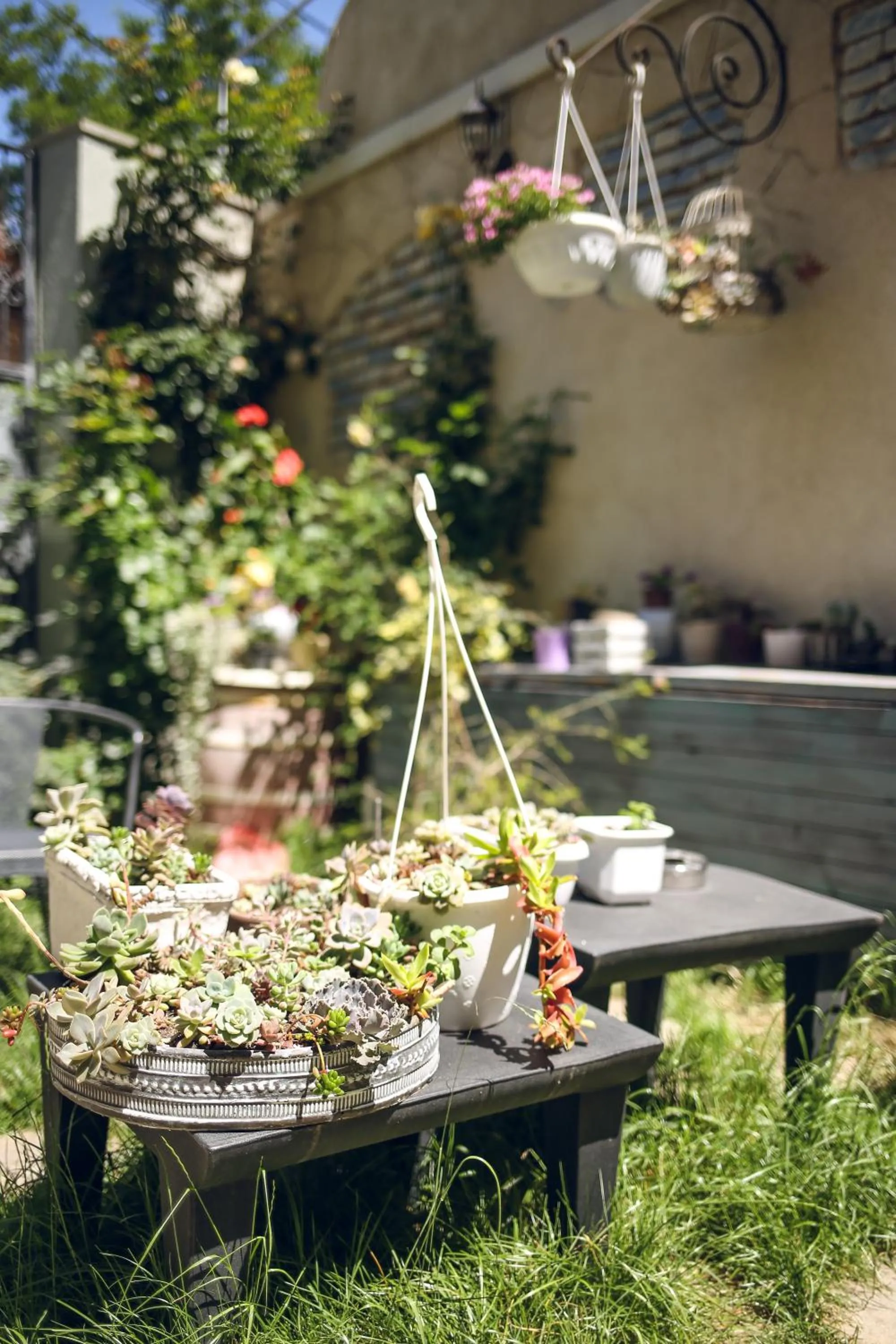 Garden in Hotel Kera