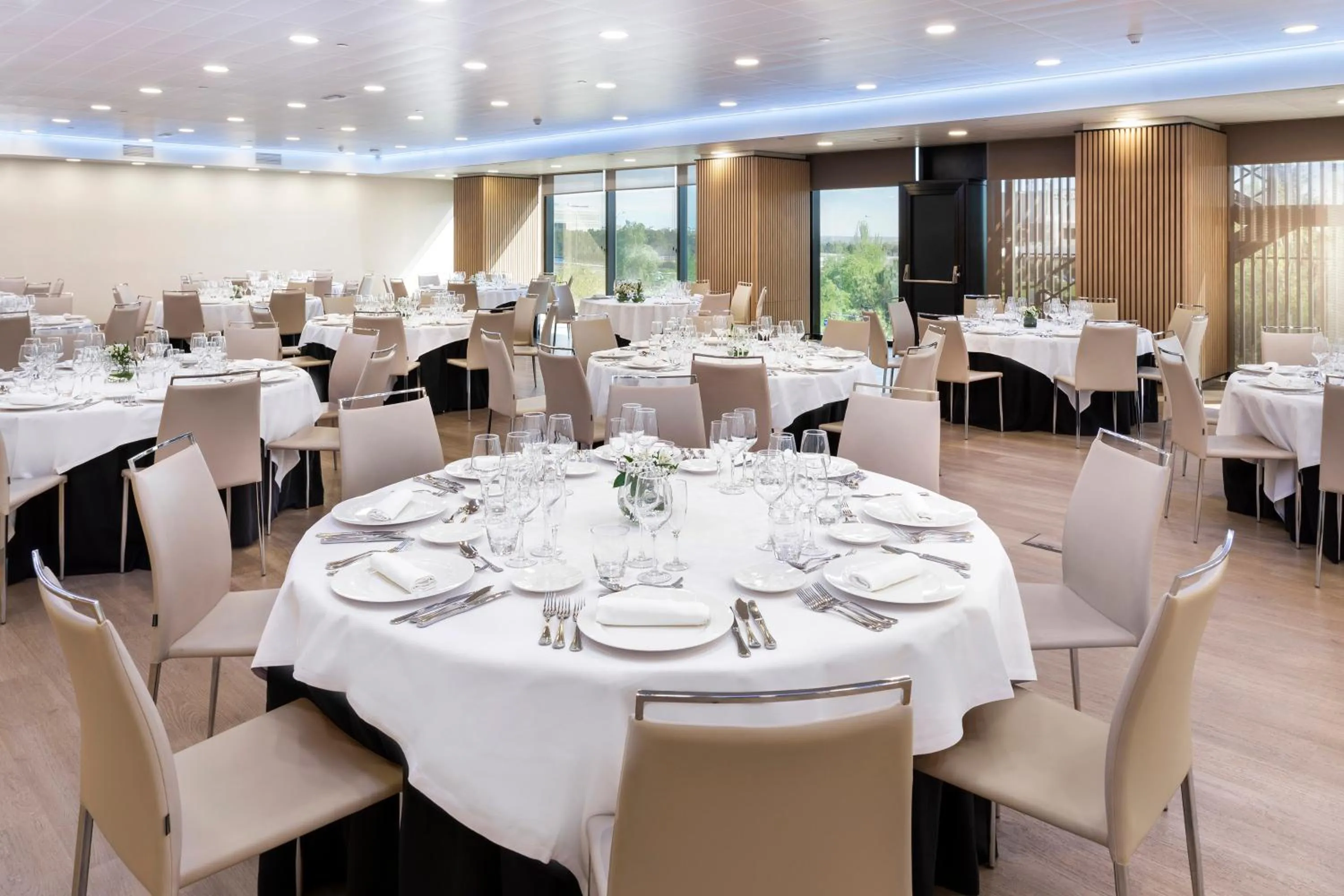 Banquet/Function facilities in Melia Avenida de America