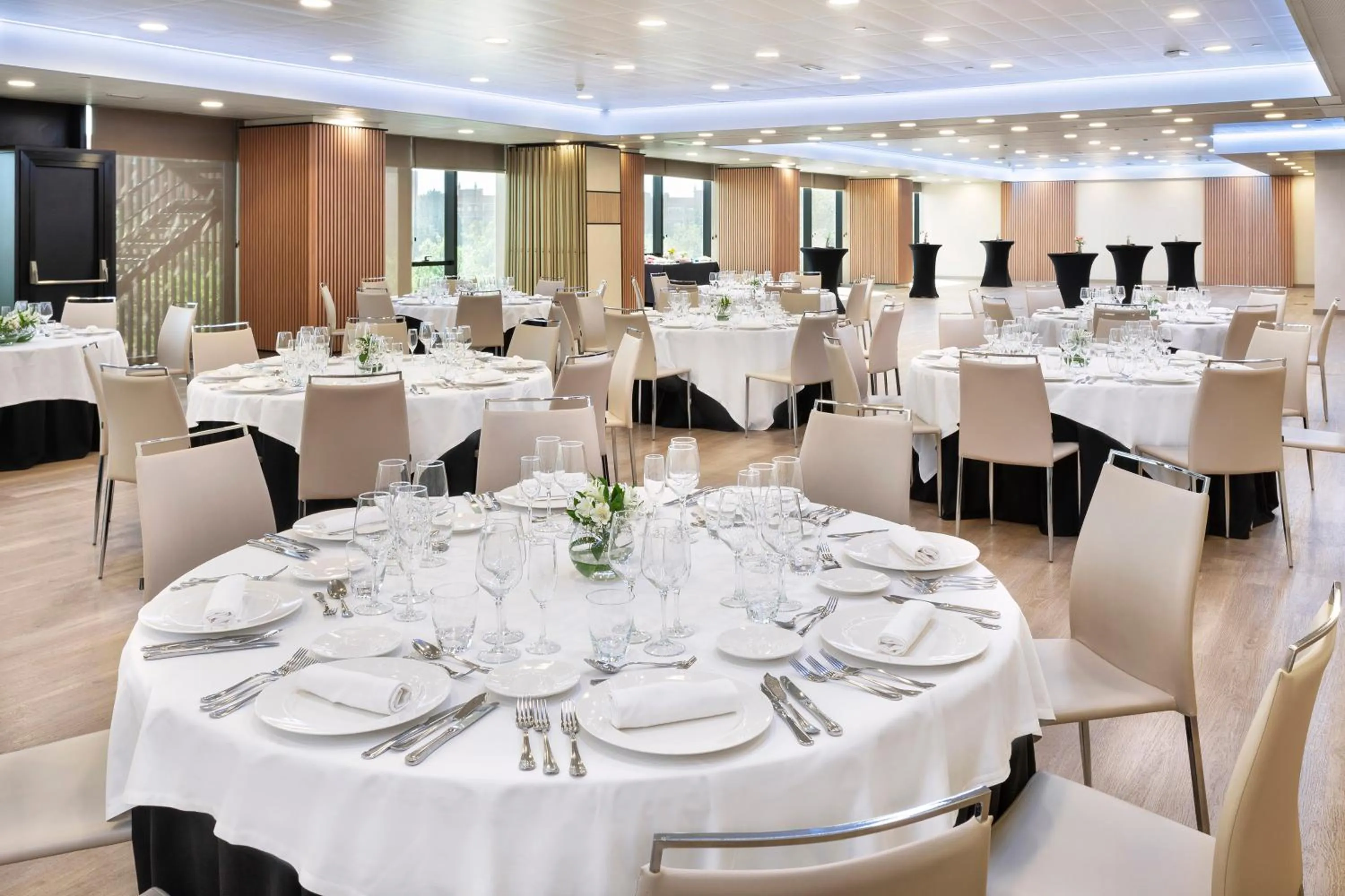 Banquet/Function facilities in Melia Avenida de America