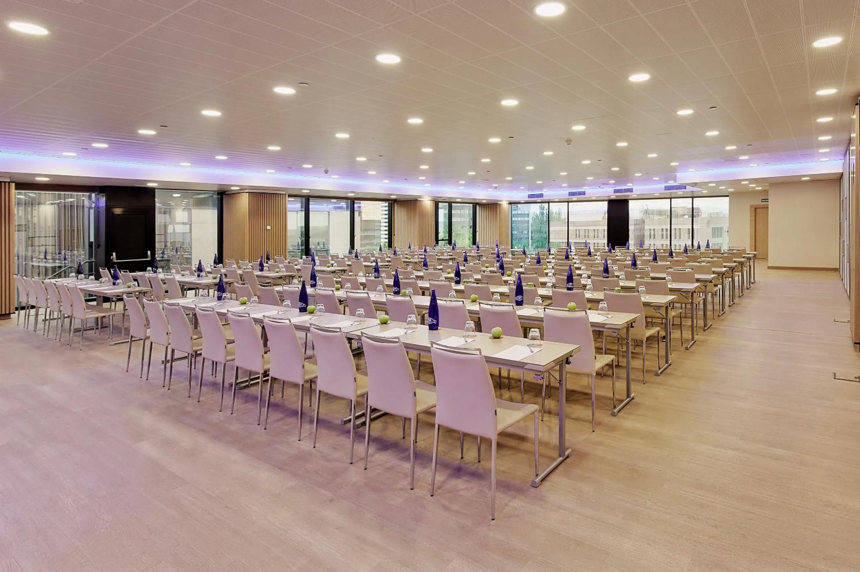 Business facilities in Melia Avenida de America