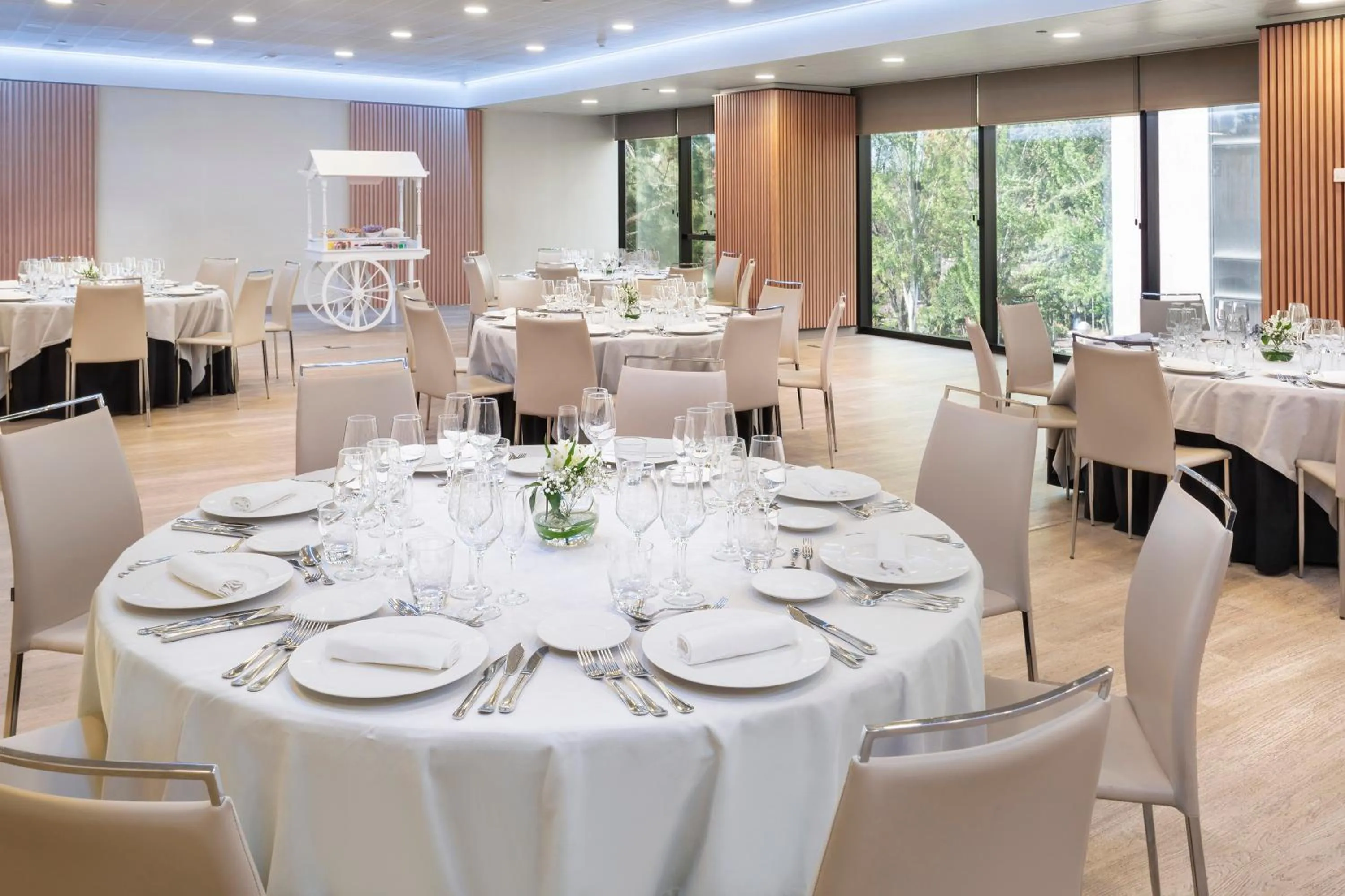 Banquet/Function facilities in Melia Avenida de America