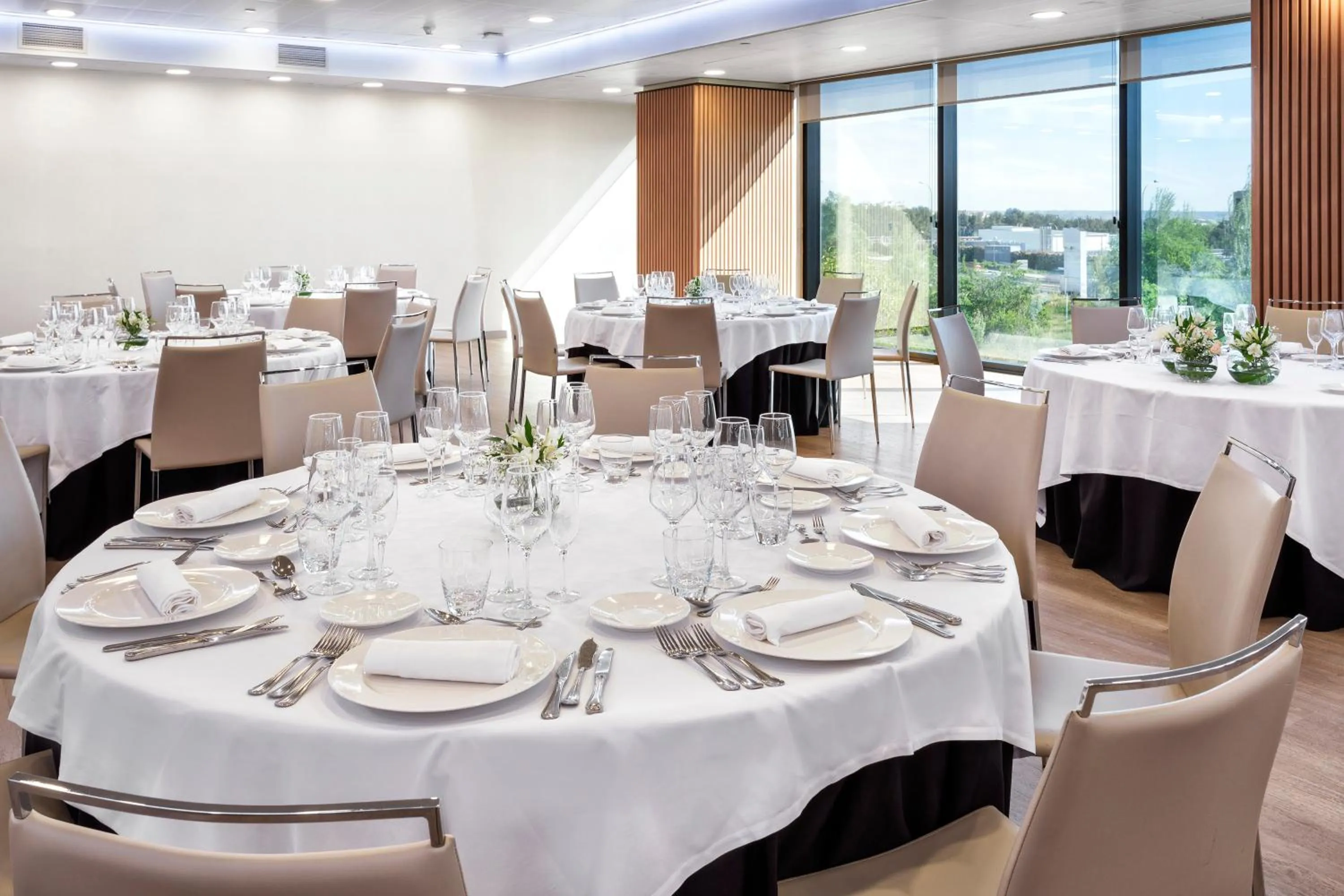 Banquet/Function facilities in Melia Avenida de America