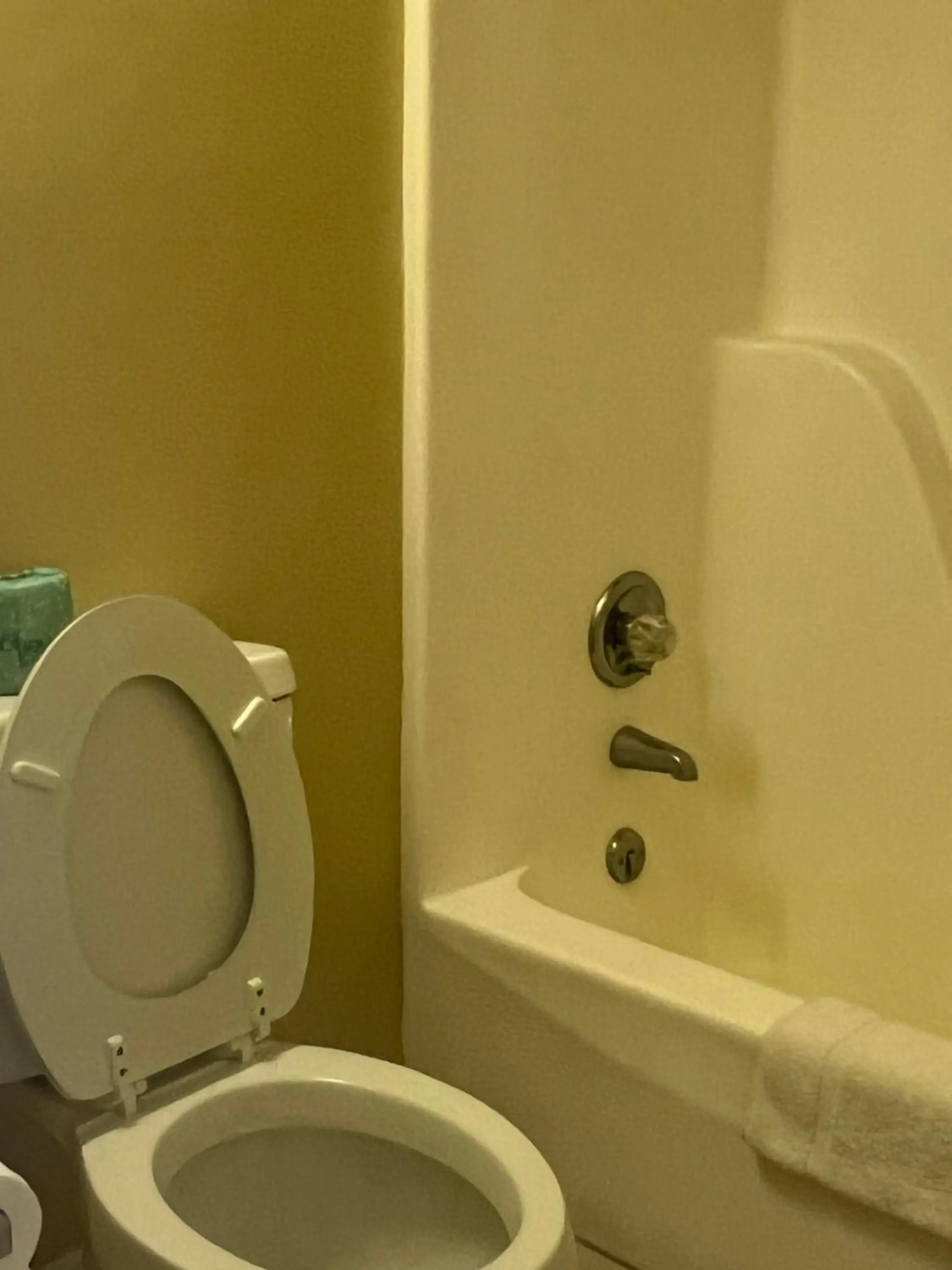 Bathroom in Towne inn