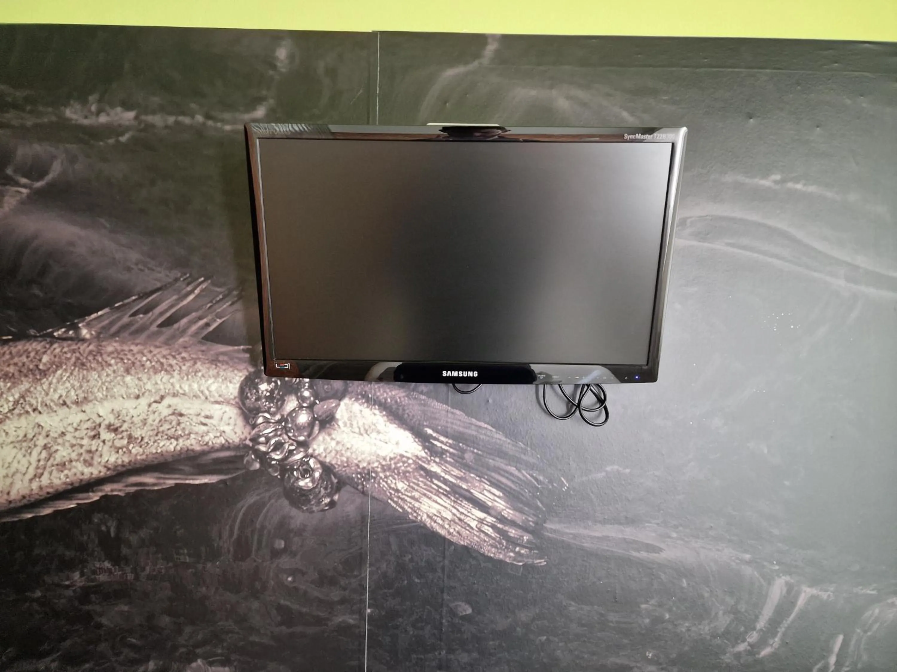 TV and multimedia in La Posada de El Chaflán