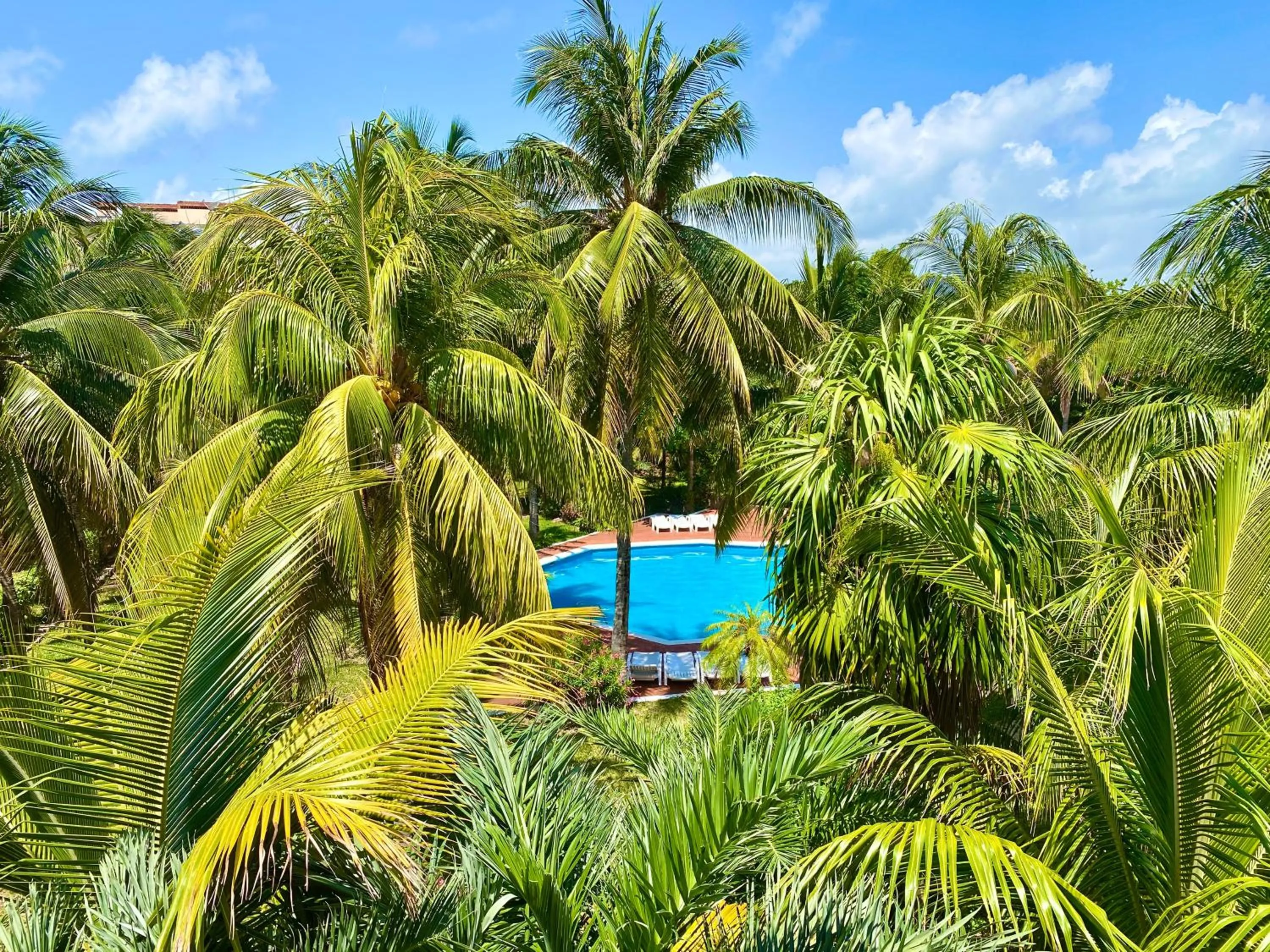 Pool view in Villas Tropical By Andiani