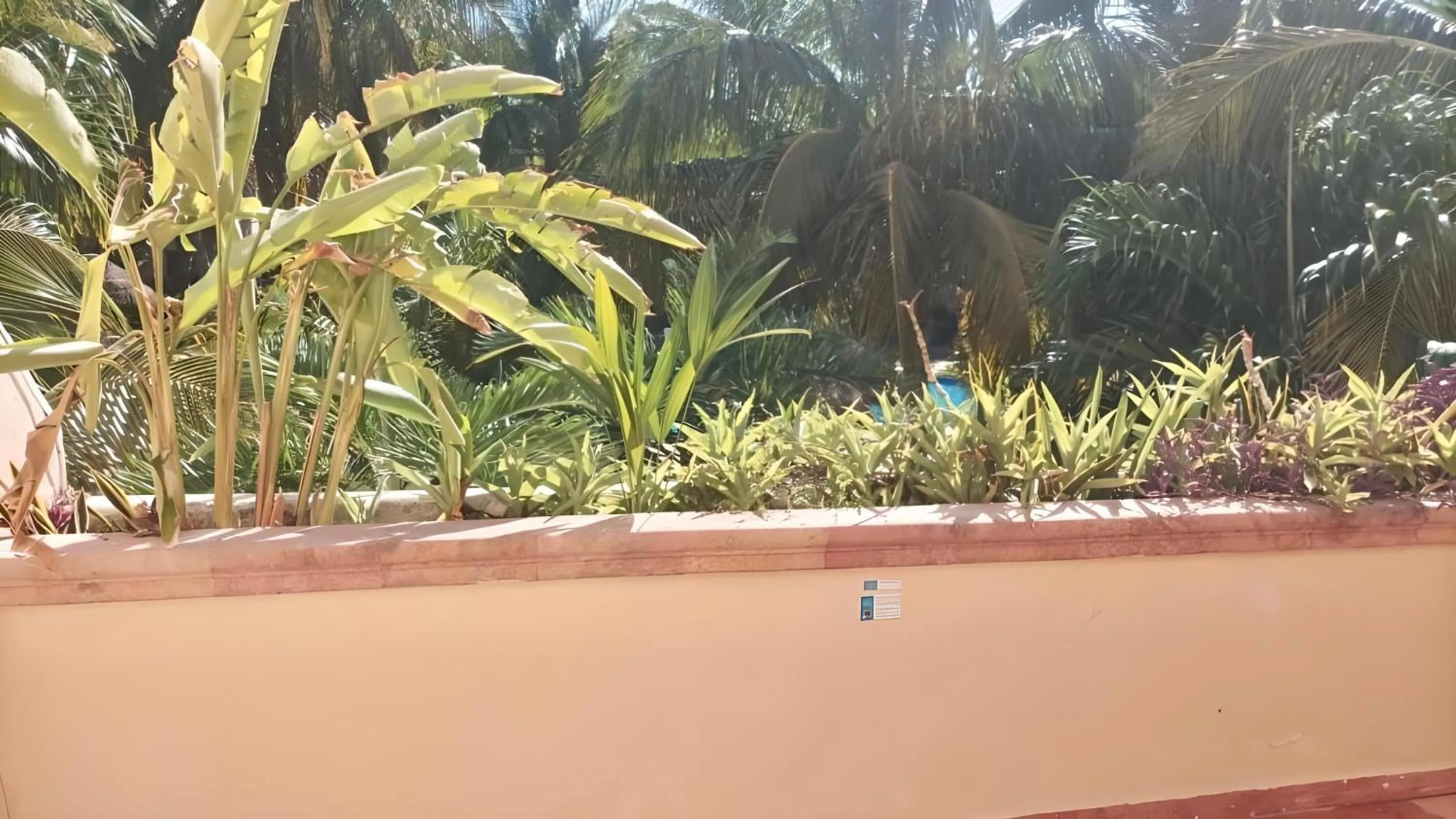 Day in Villas Tropical By Andiani