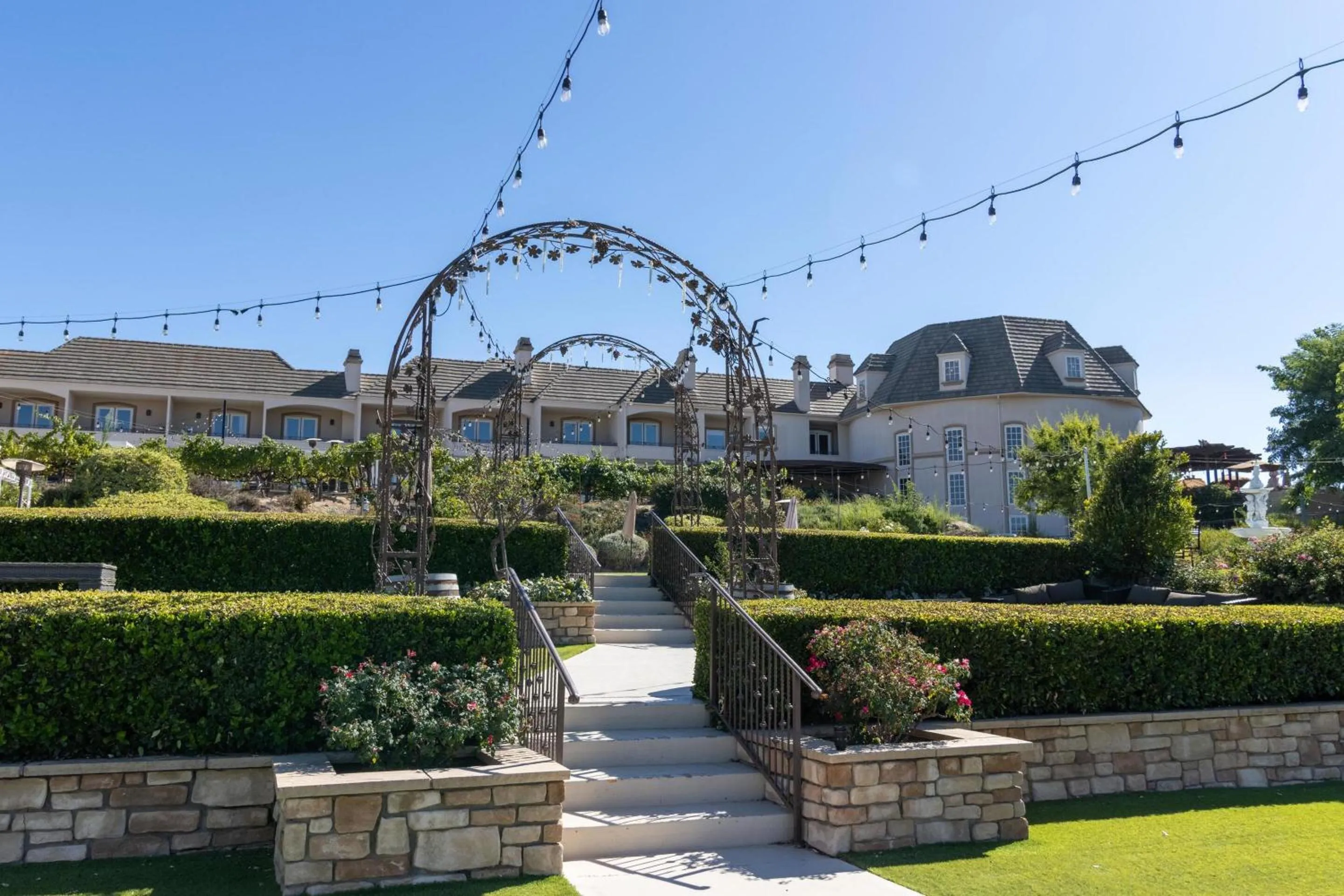 View (from property/room) in Churon Inn Winery