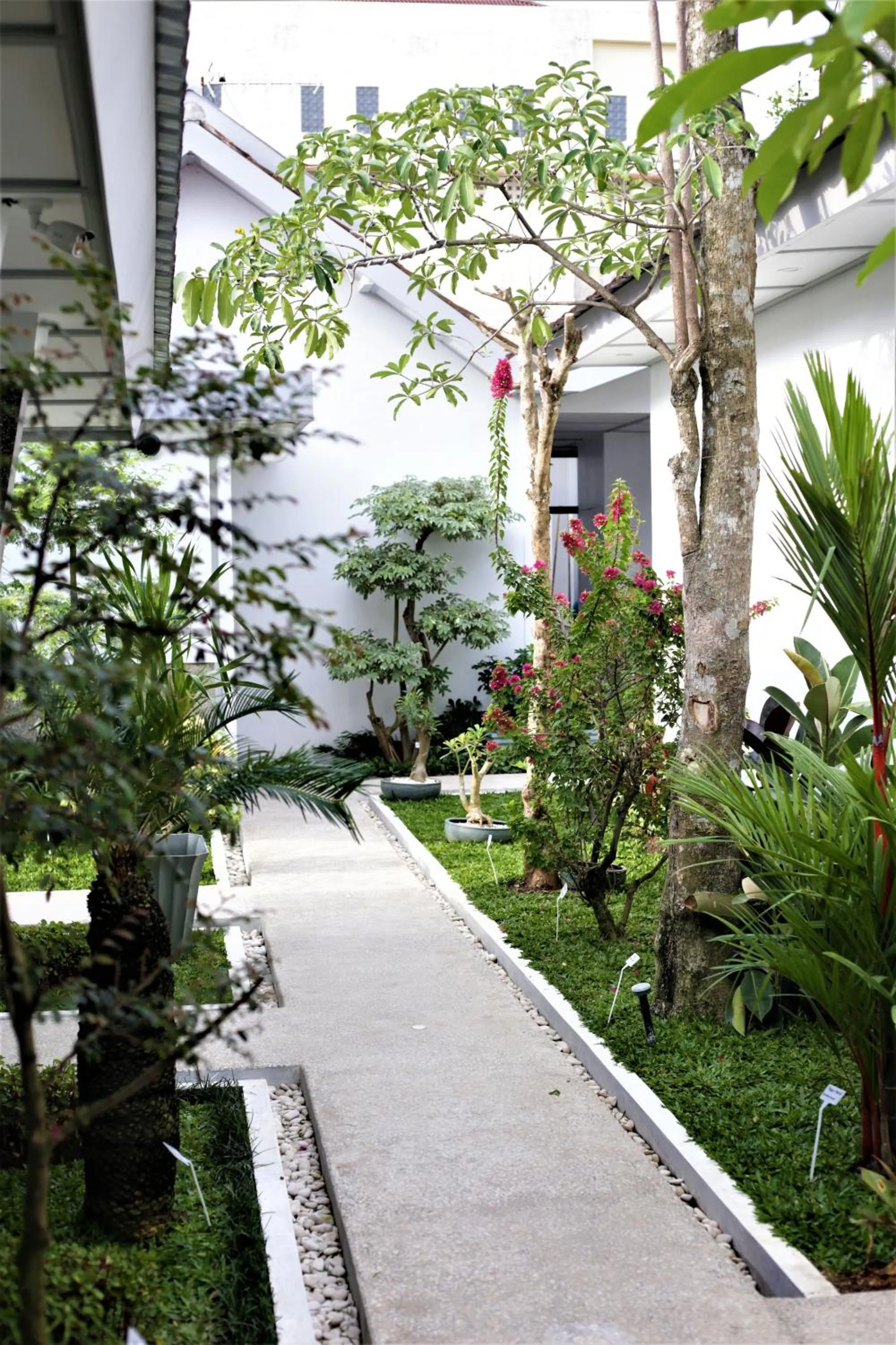 Garden in CERIA HOTEL at Alun Alun Yogyakarta