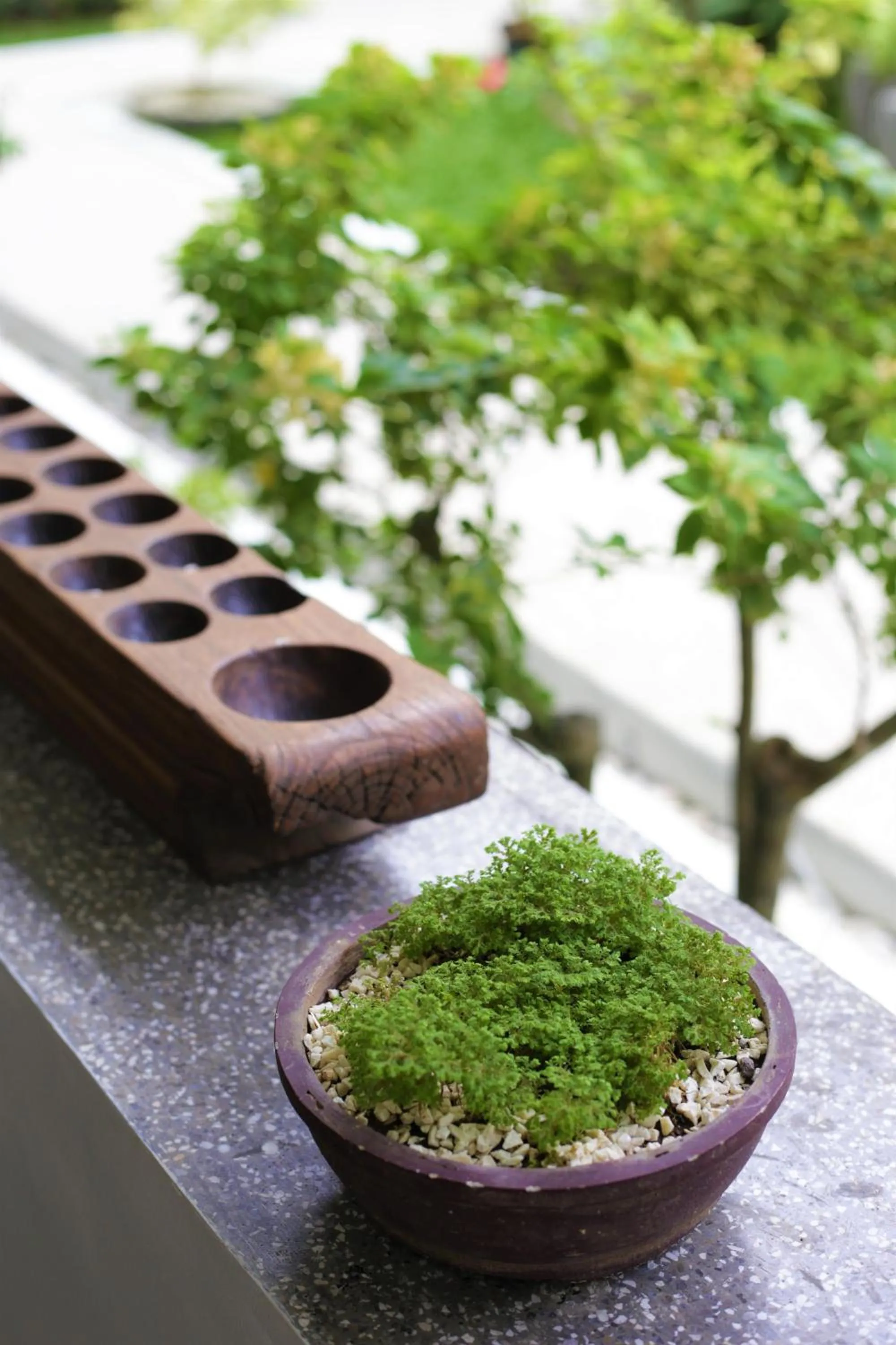 Area and facilities in CERIA HOTEL at Alun Alun Yogyakarta