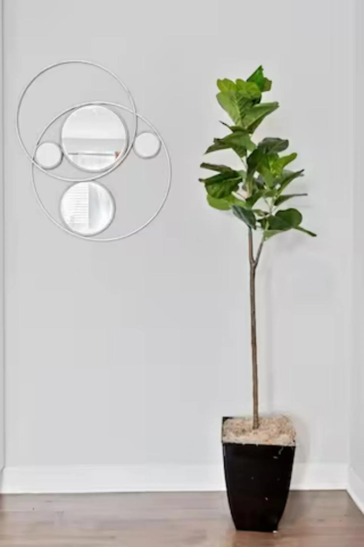 Decorative detail in Urban Oasis Ed Sheeran Vibes 15 Mins Away