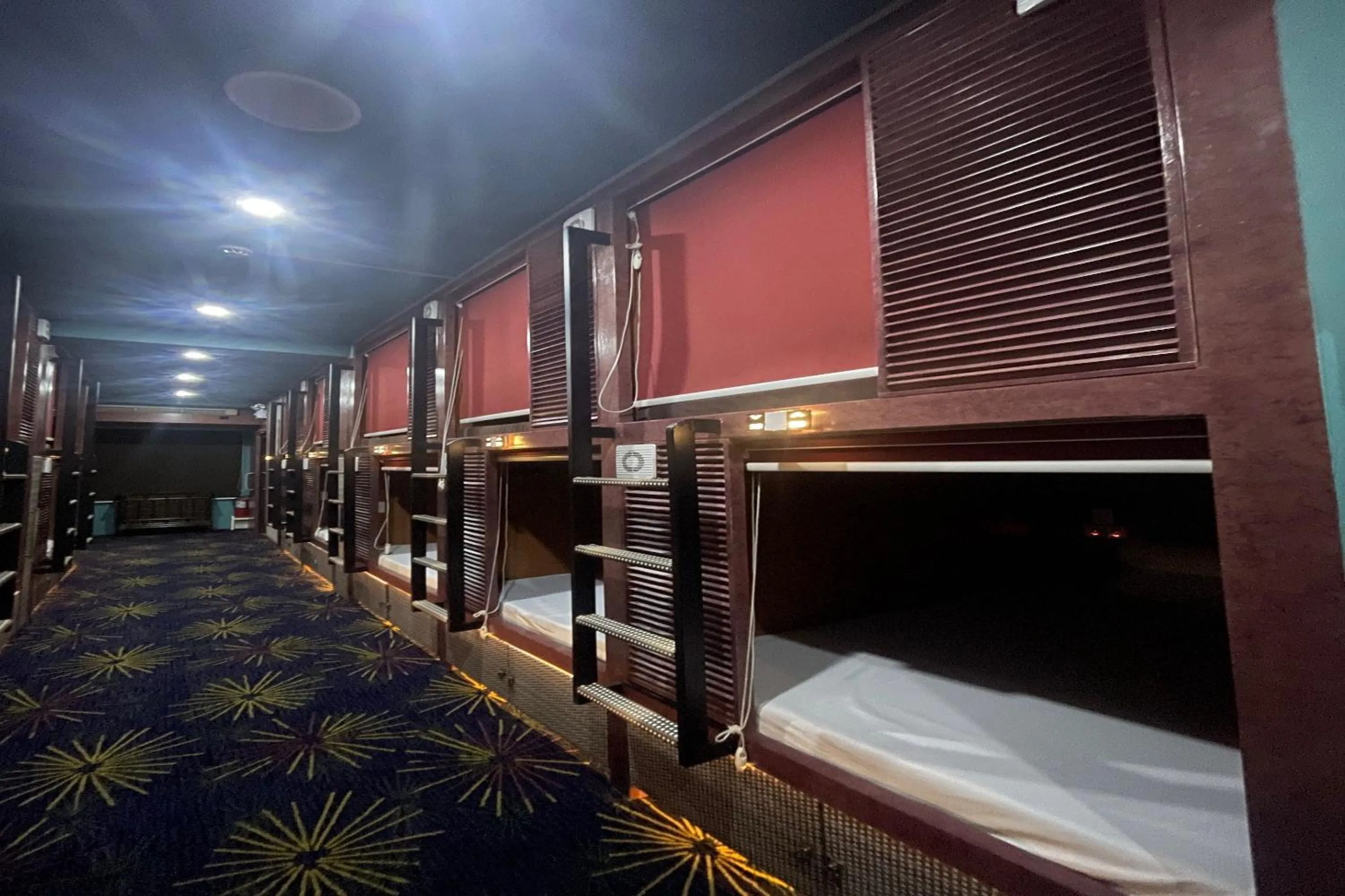 Bed in Attic Capsule Hotel