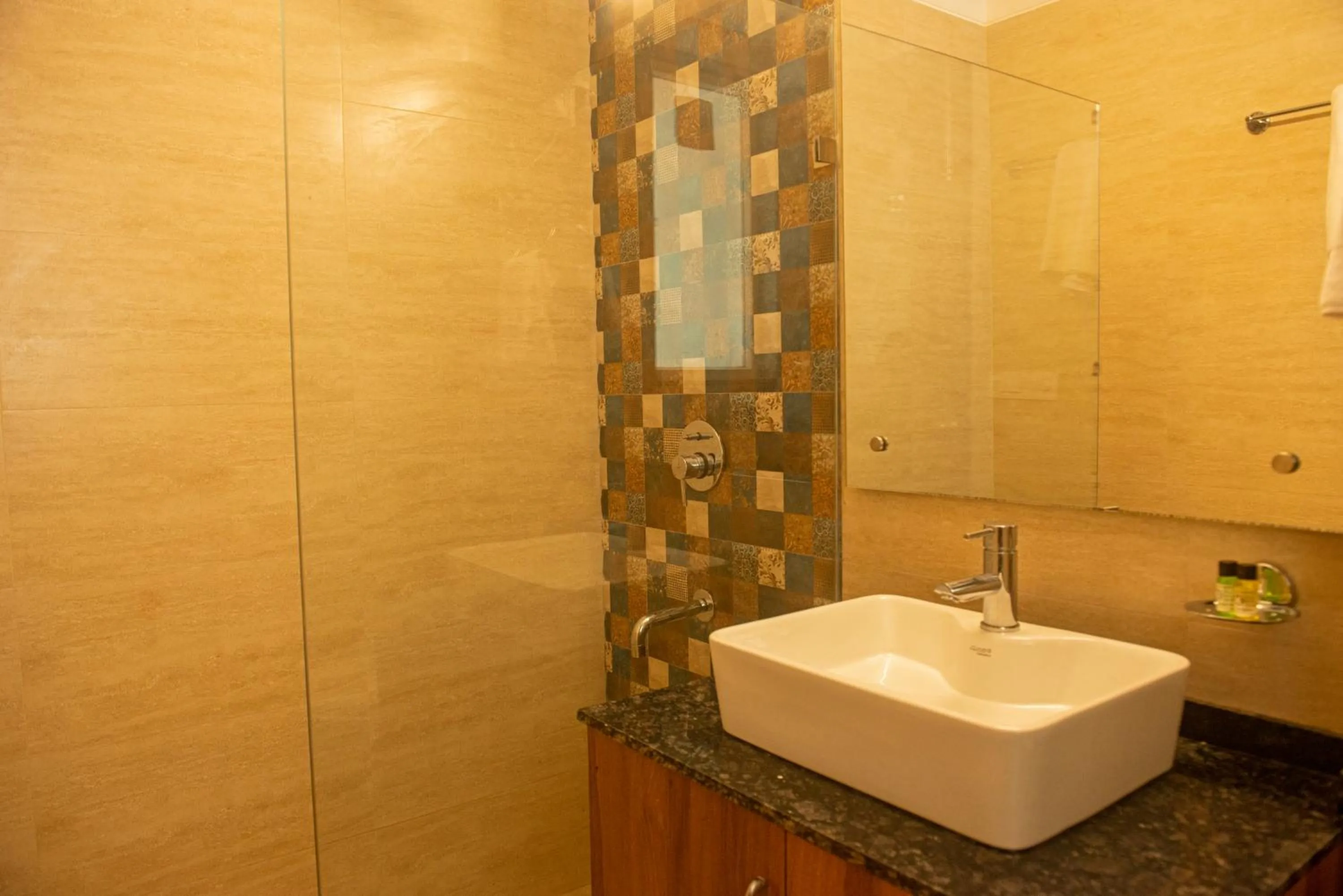 Bathroom in Posh Residency Artemis Hospital Road Gurgaon