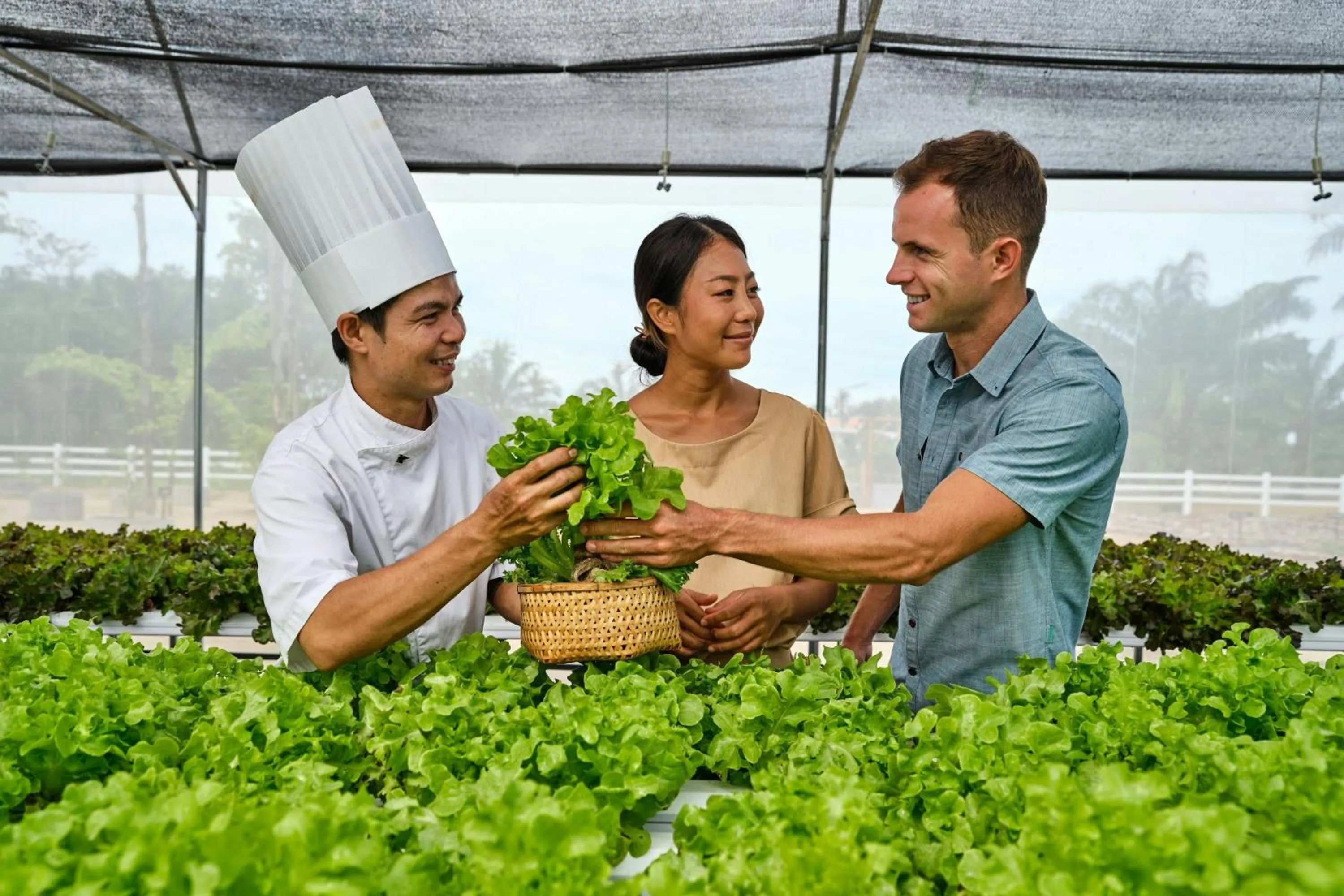 Other in Marriott Vacation Club, Khao Lak Beach Resort