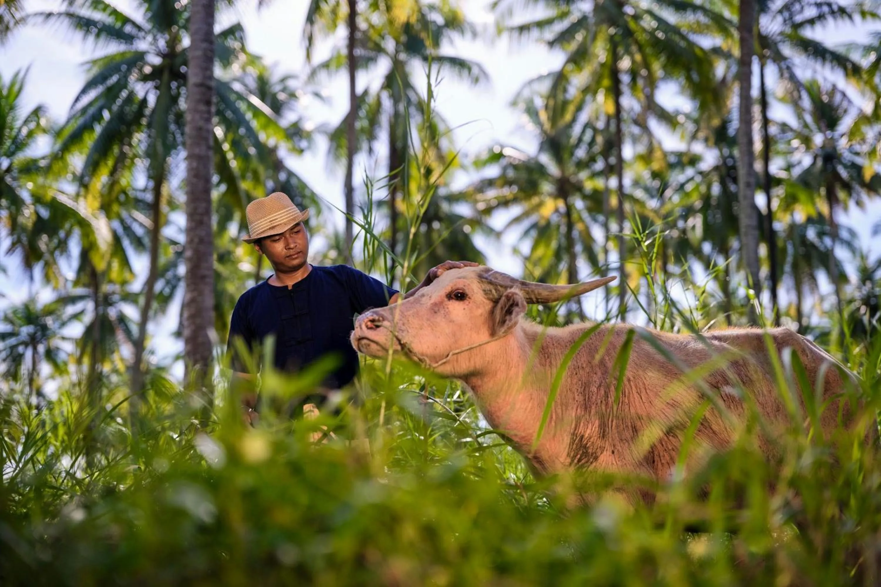 Other in Marriott Vacation Club, Khao Lak Beach Resort