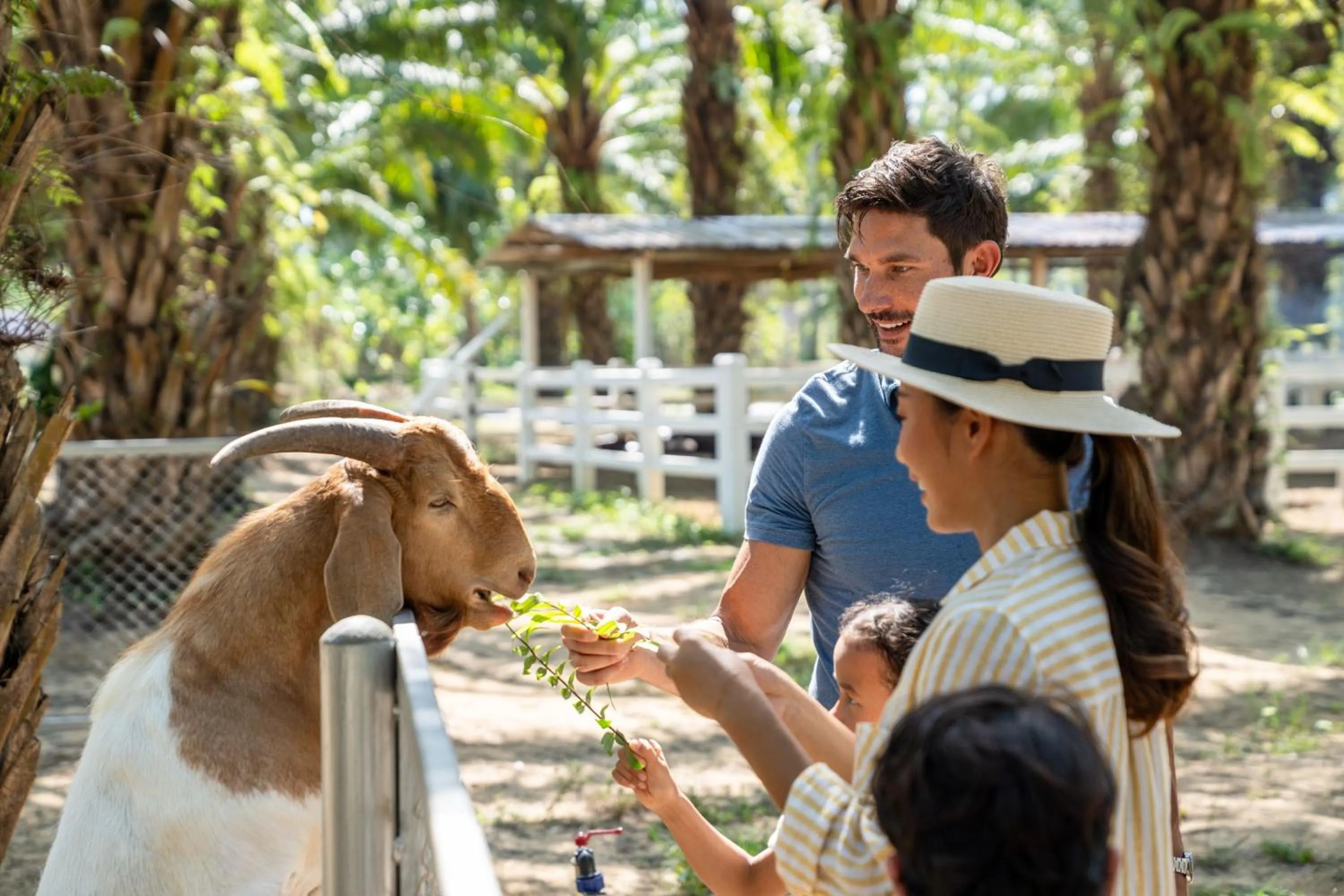 Other in JW Marriott Khao Lak Resort Suites