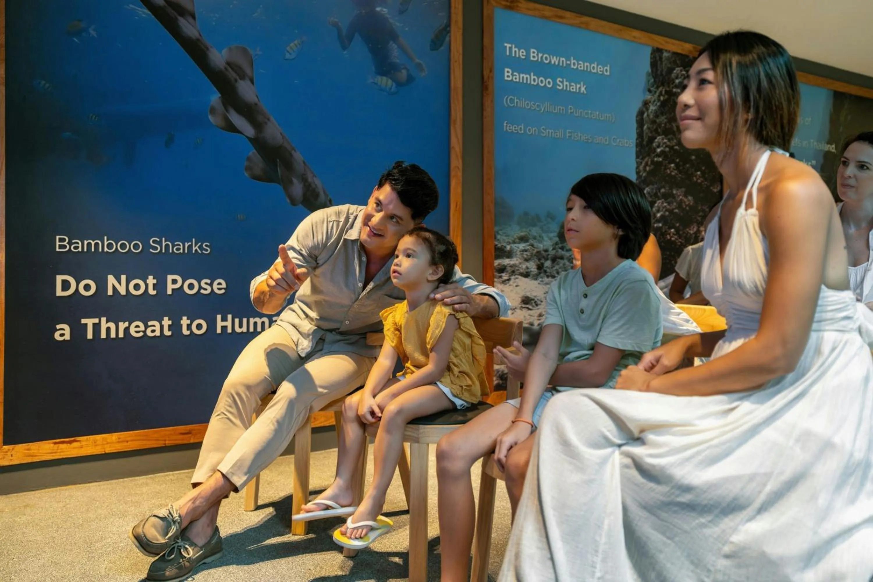 Other in Marriott Vacation Club, Khao Lak Beach Resort