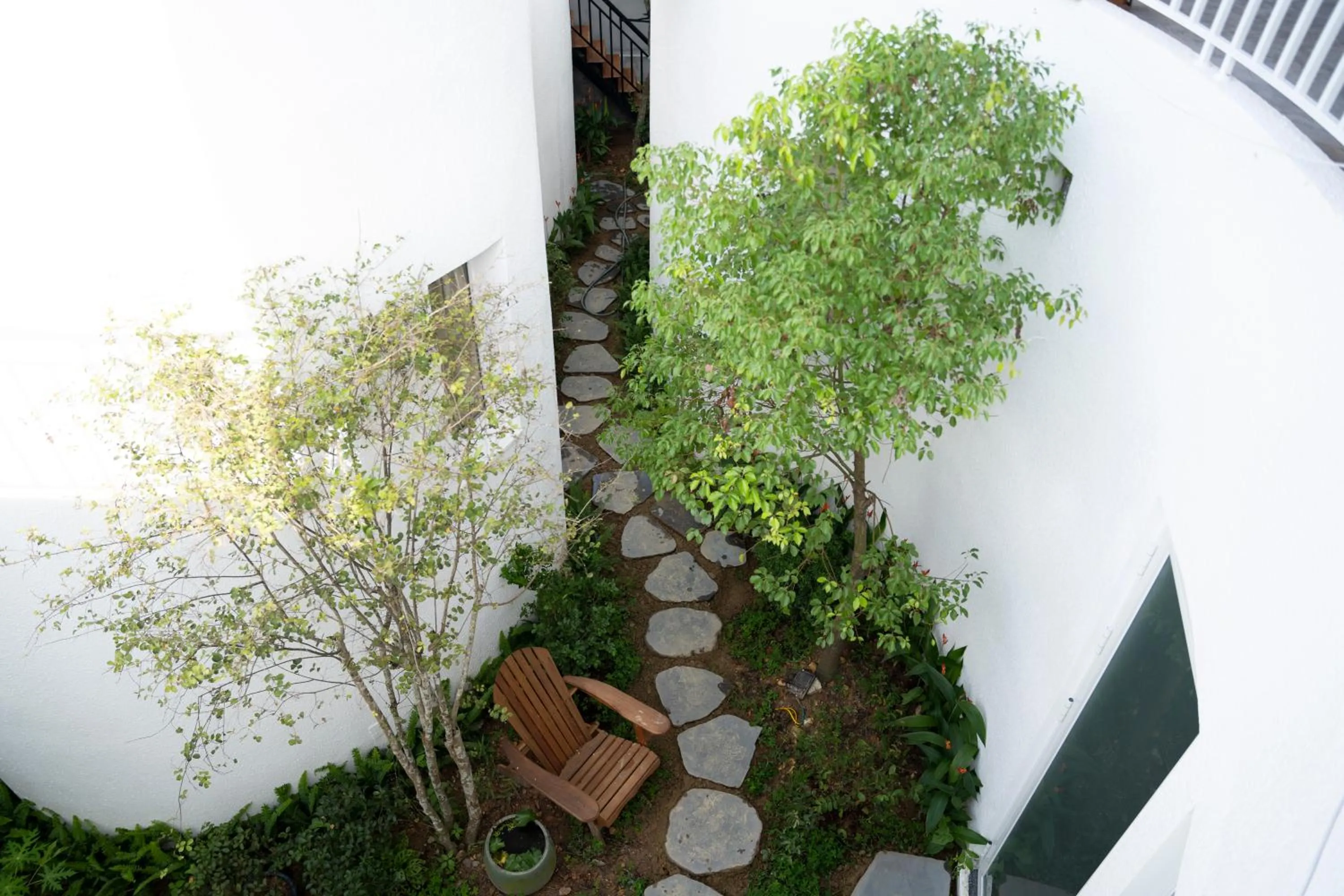 Garden in Metta Homestay Hue