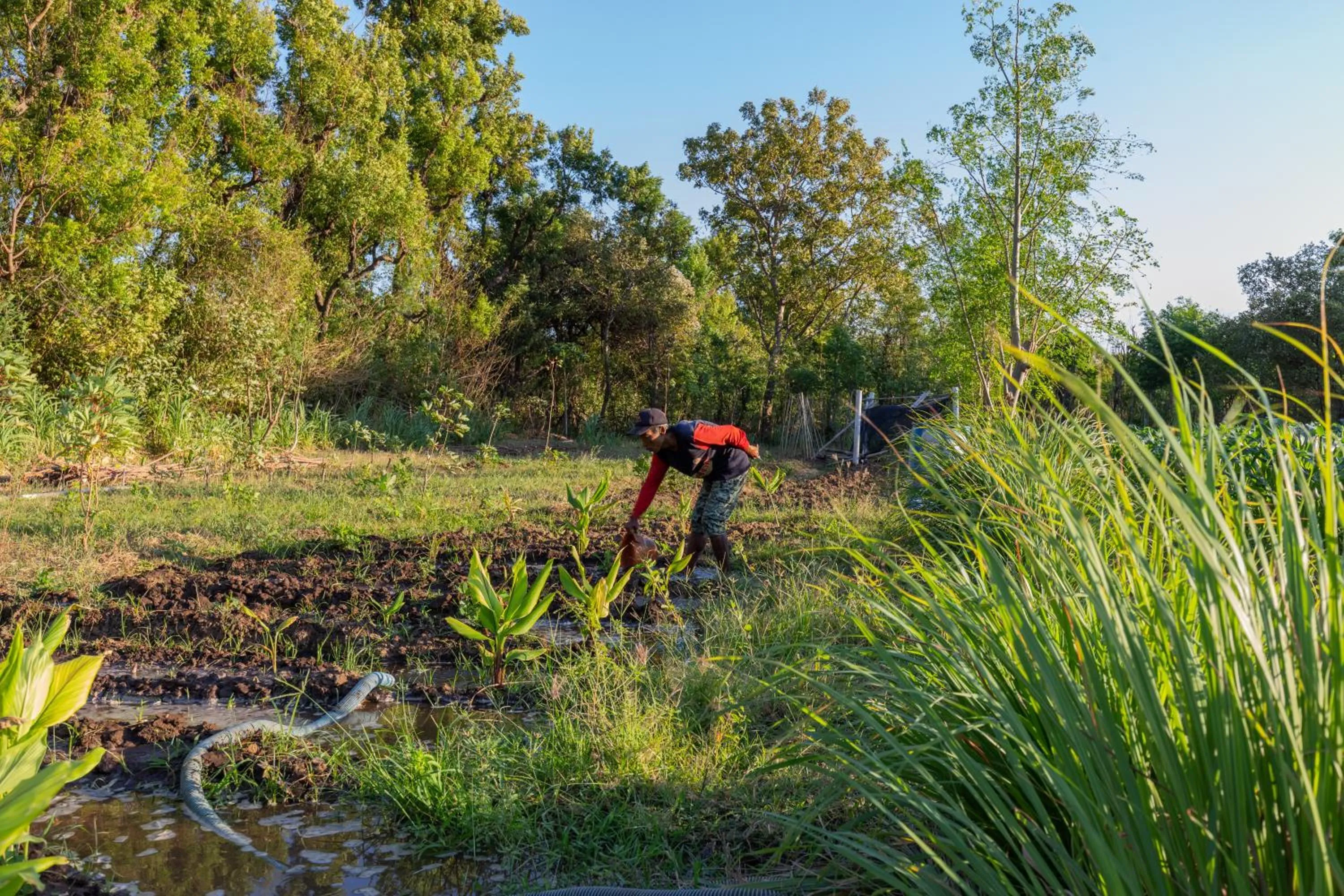 Garden in Taman Bidadari Eco Wellness