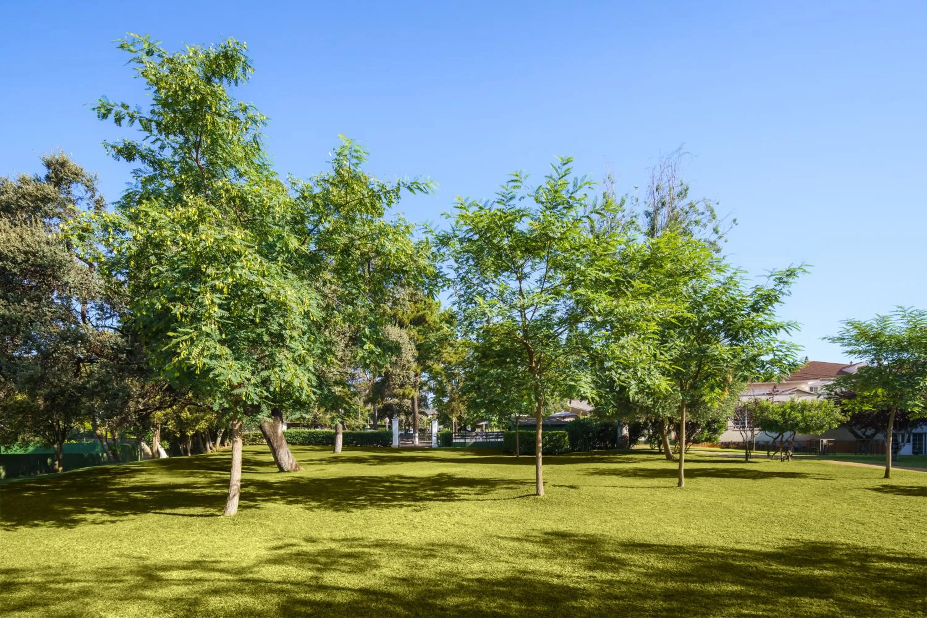 Off site in Crisol Jardines de Córdoba