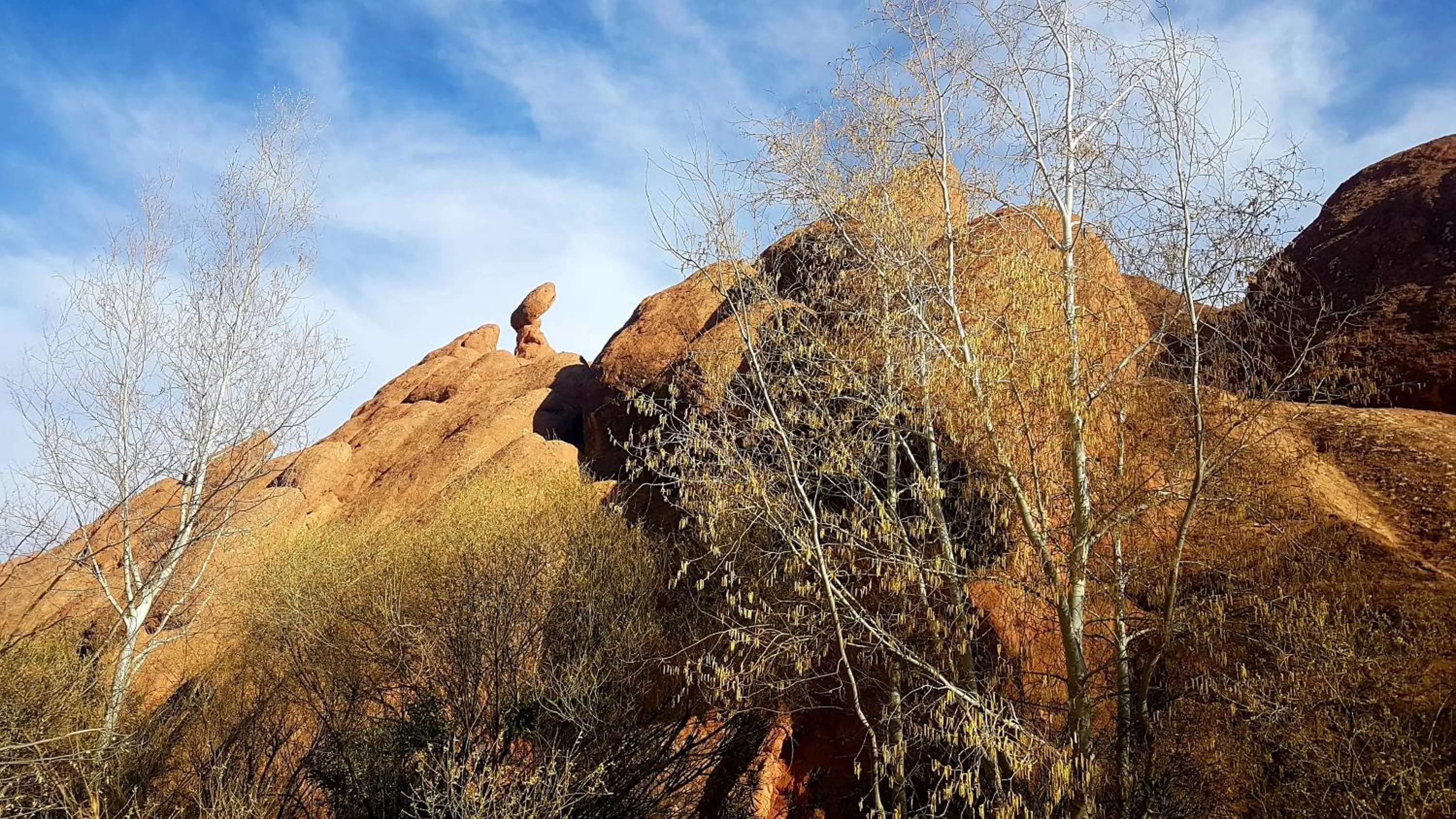 Auberge Kasbah Ait Marghad