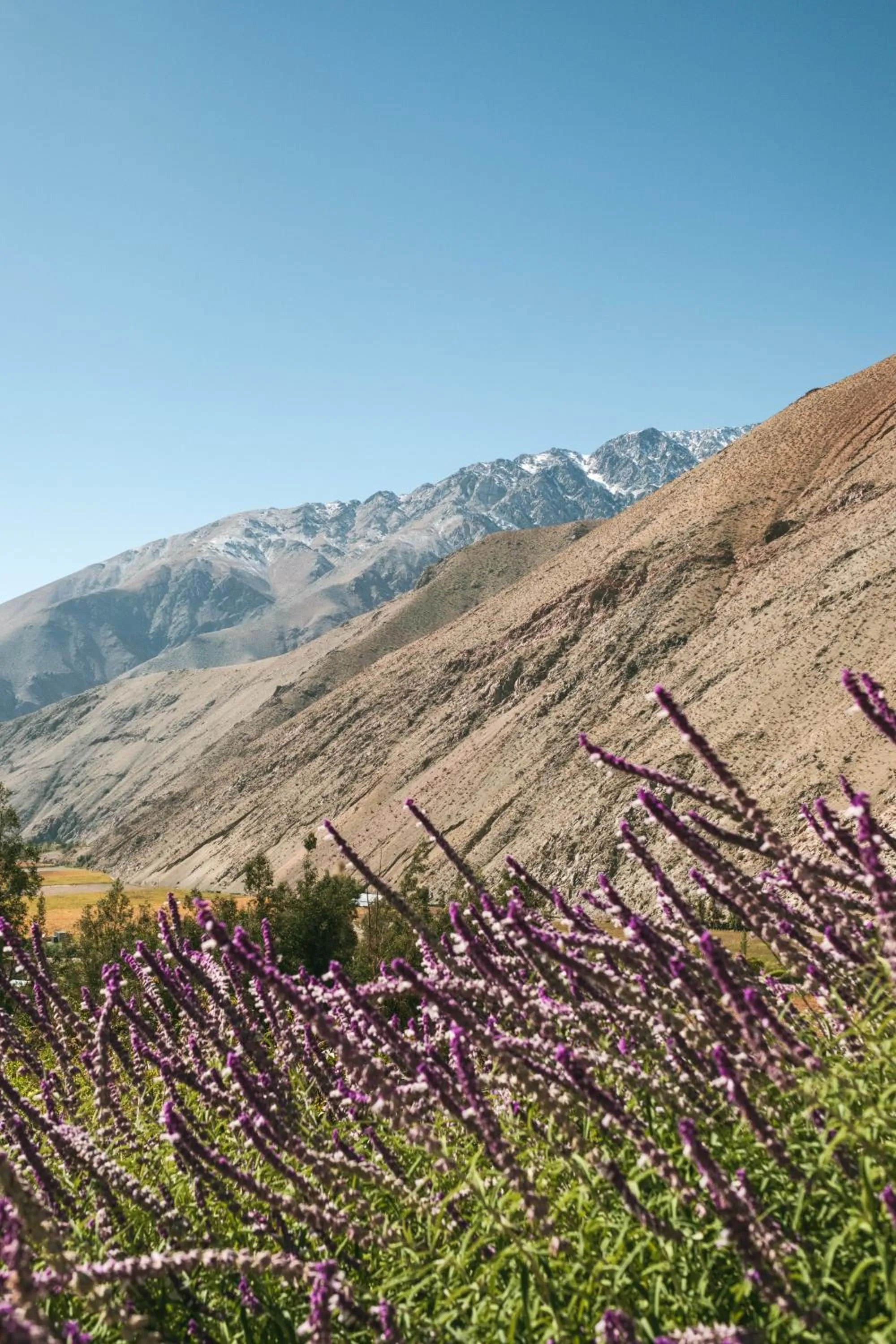 Hiking in Glamping Miraflores