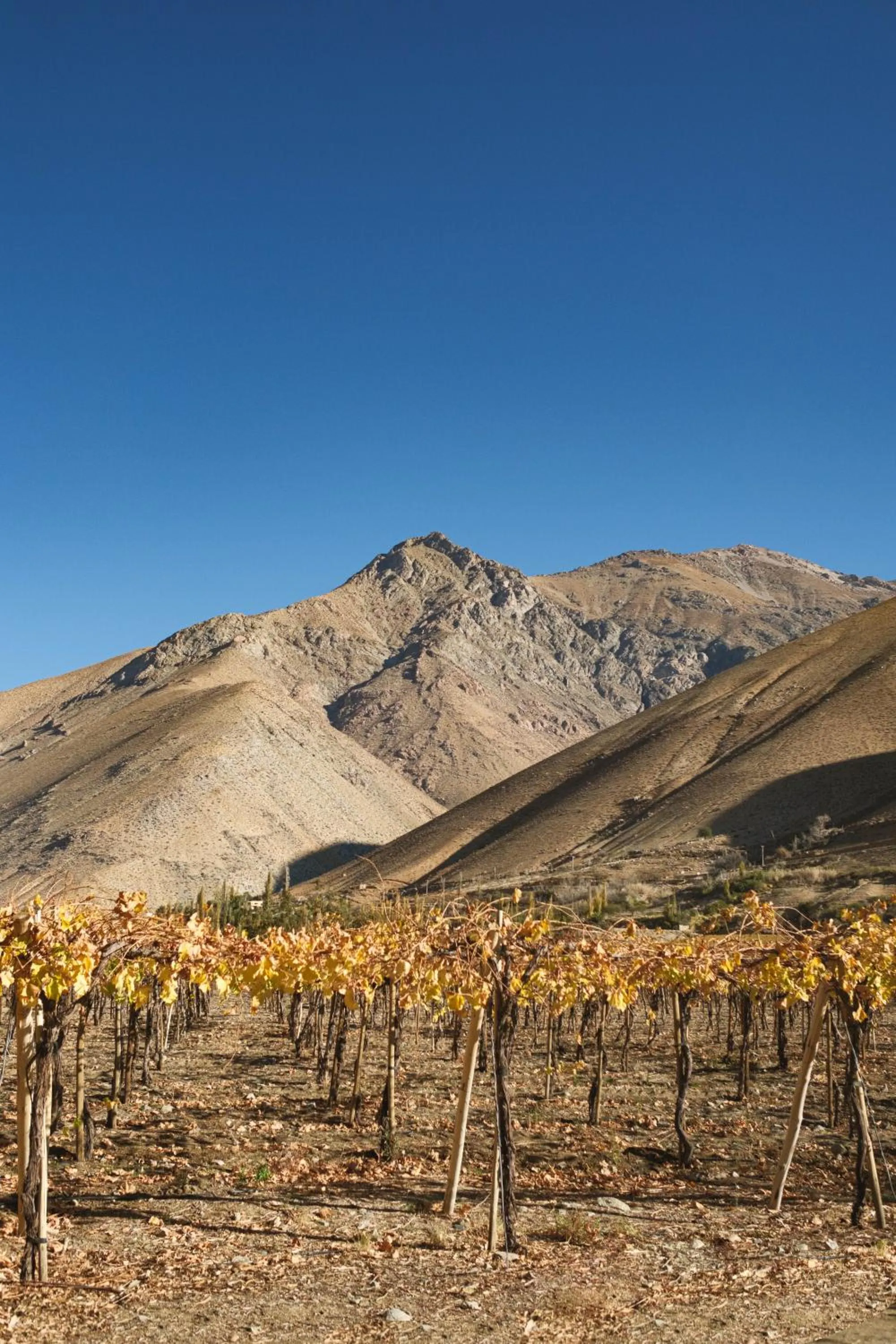 Hiking in Glamping Miraflores