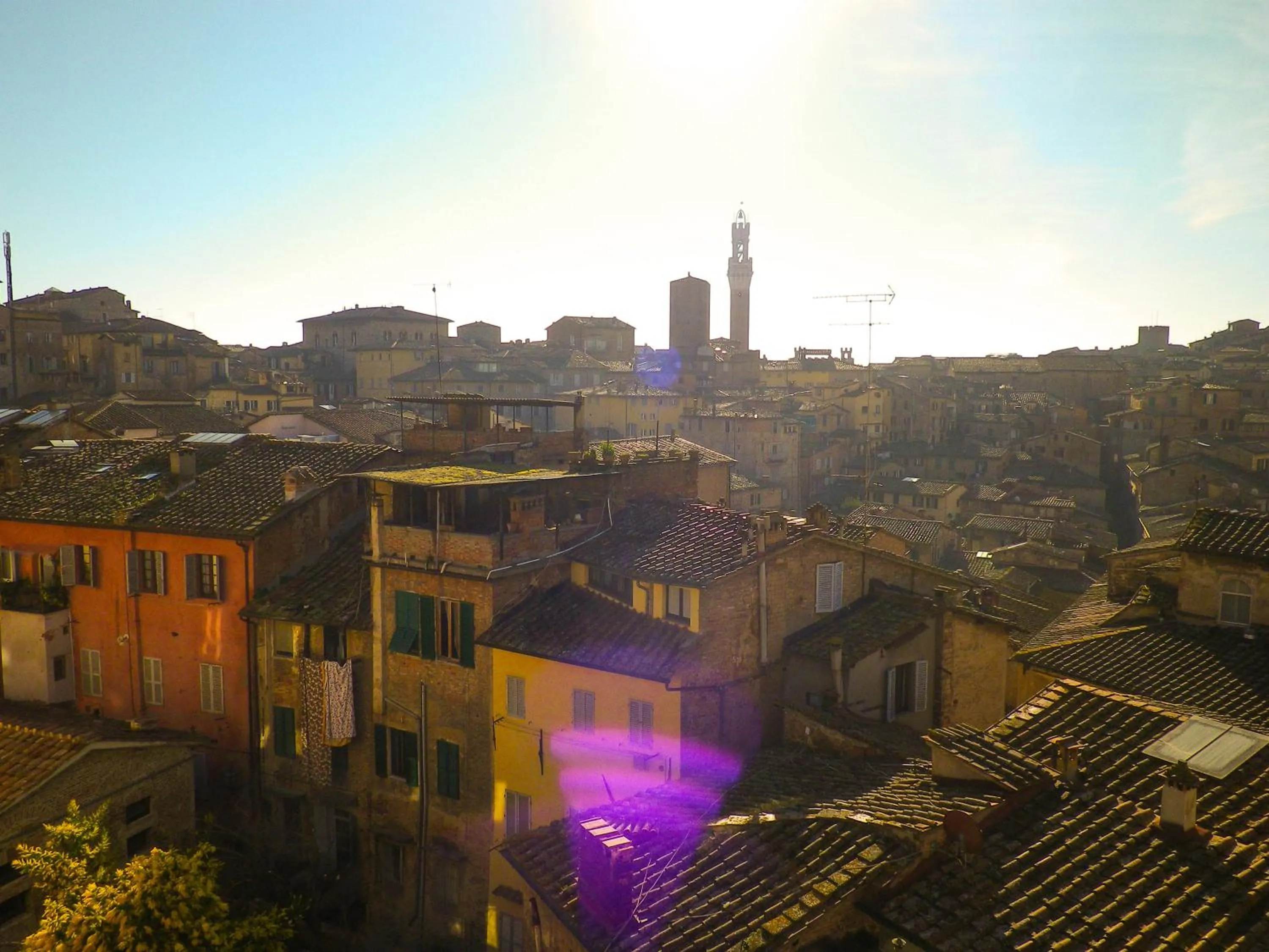 View (from property/room) in B&B I Tetti di Siena