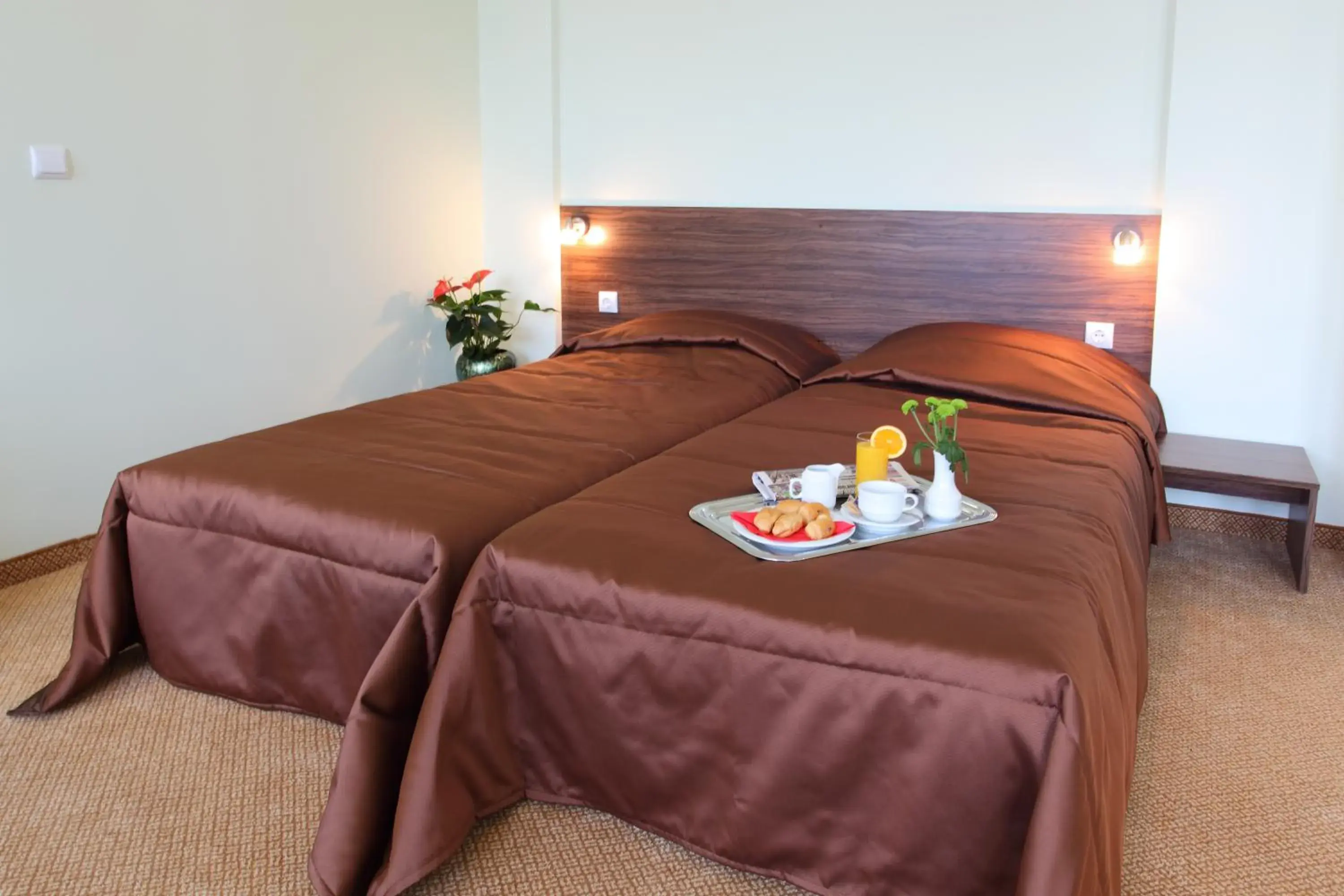 Deluxe Double Room with Free Parking - single occupancy in Teodora Palace Hotel Deluxe Double Room with Free Parking - single occupancy in Teodora Palace Hotel