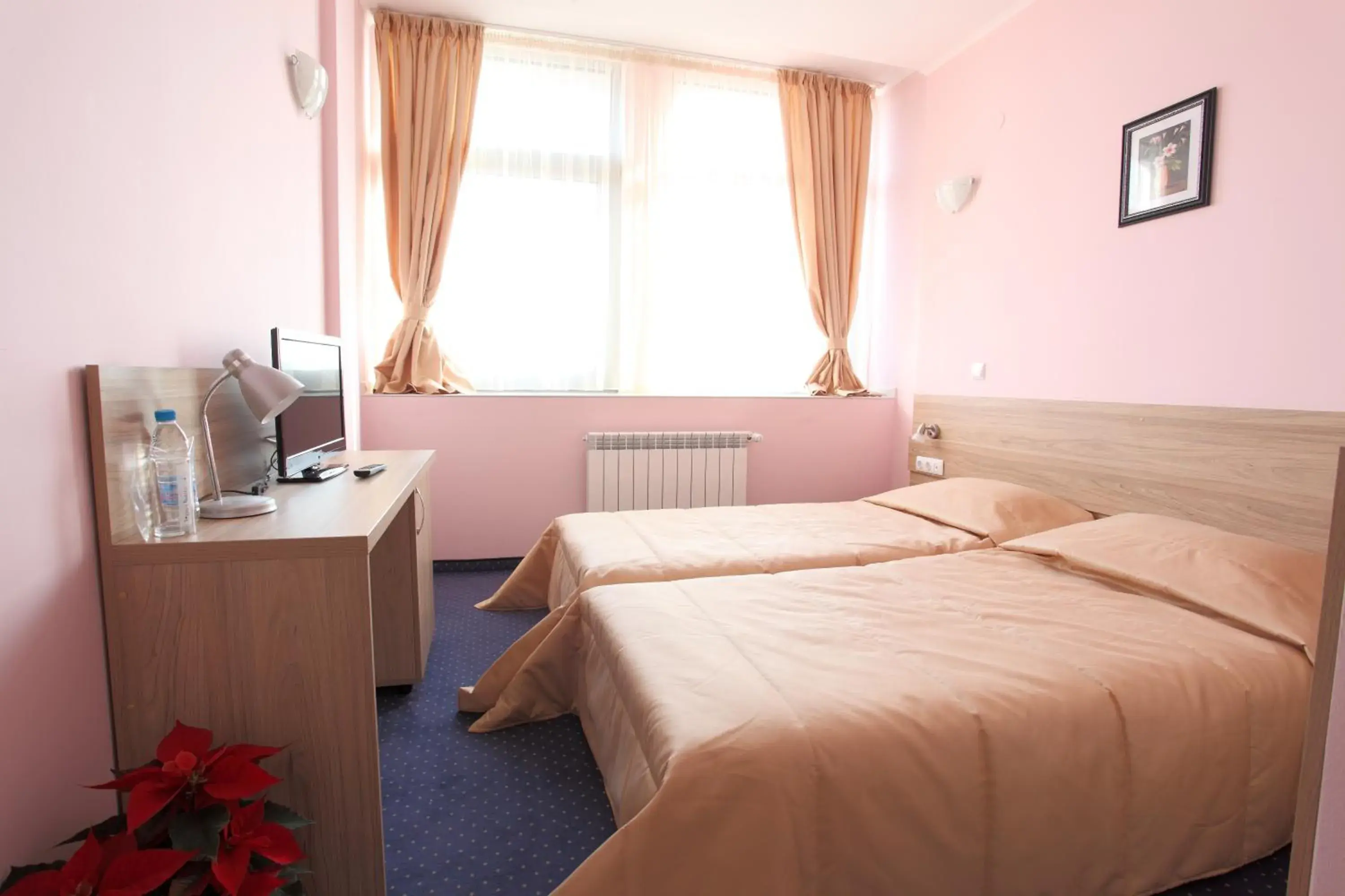 Standard Double Room with Free Parking - single occupancy in Teodora Palace Hotel Standard Double Room with Free Parking - single occupancy in Teodora Palace Hotel