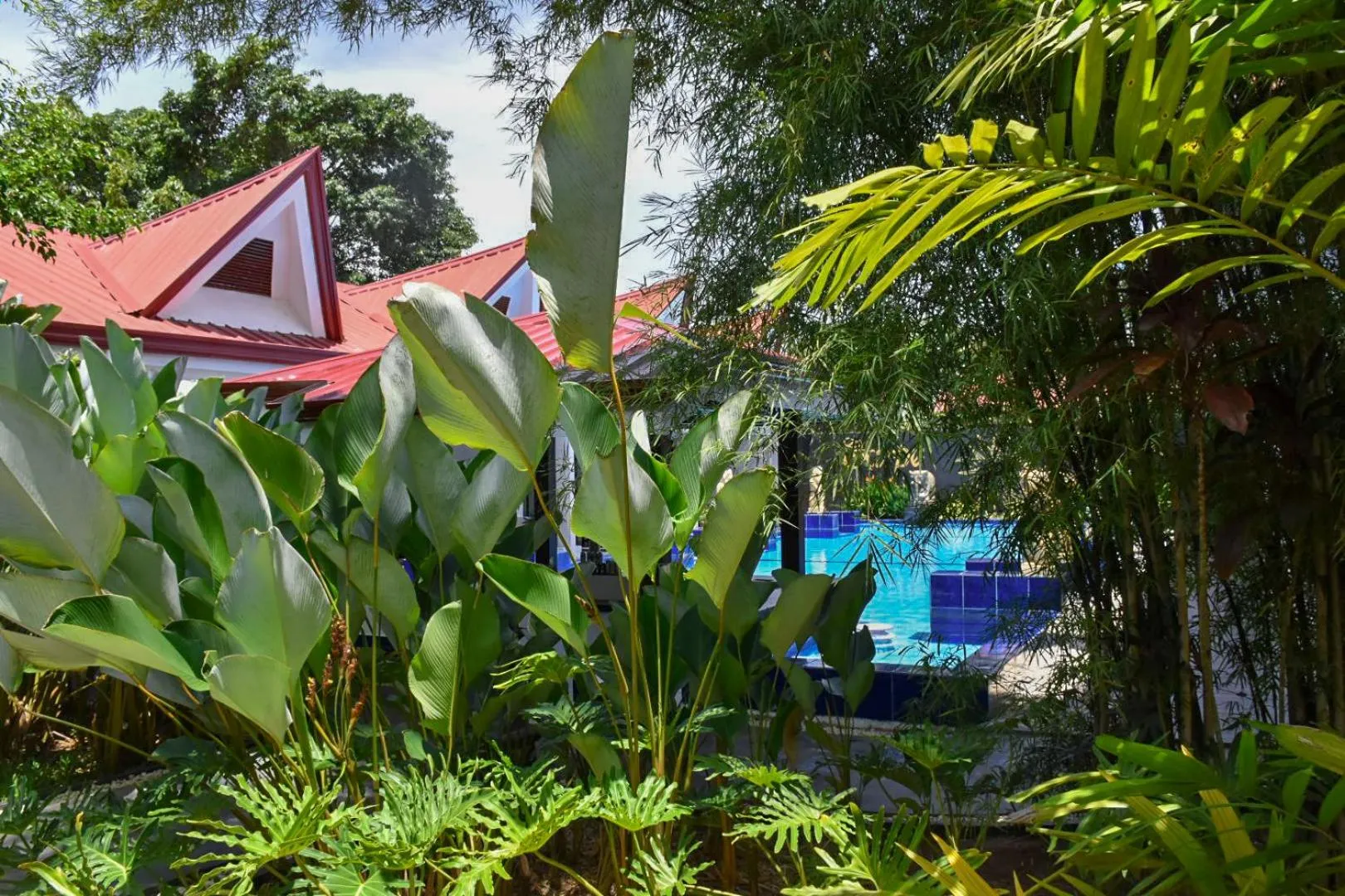 Property building in Carpe Diem Villas & Resort Dive & Stay resort