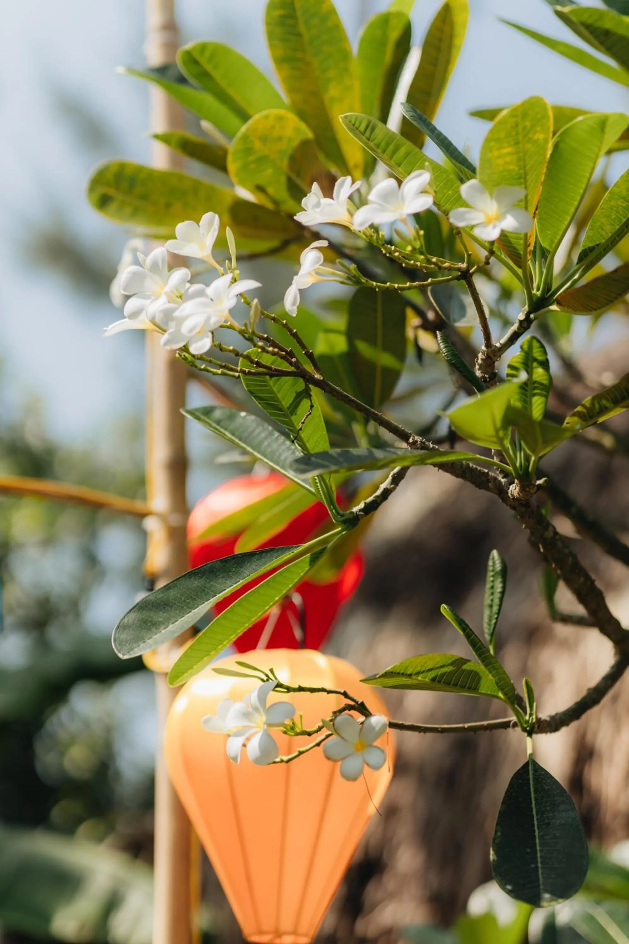 Decorative detail in Ngoc An Bang Villa