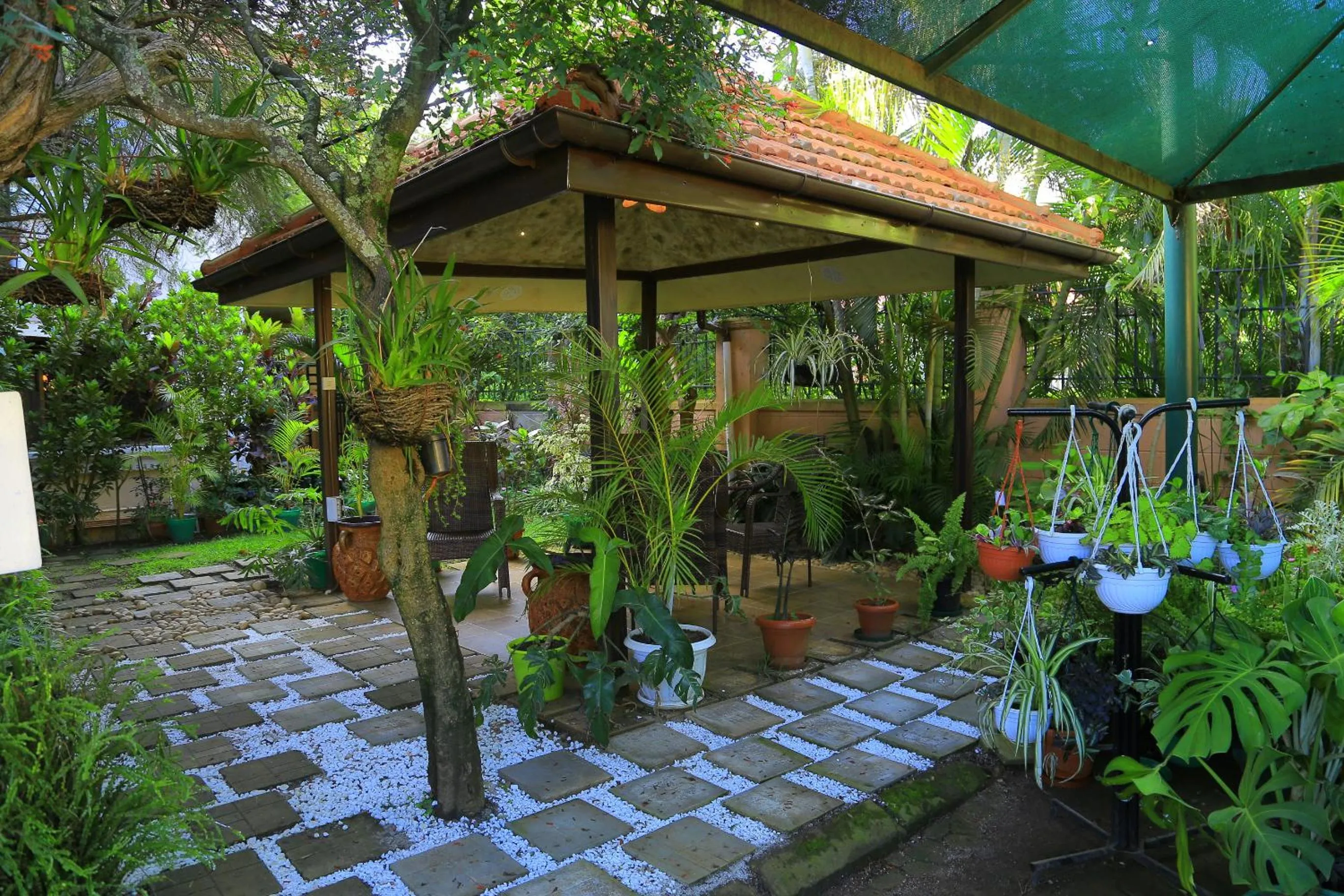 Patio in Royal Victoria House Ltd